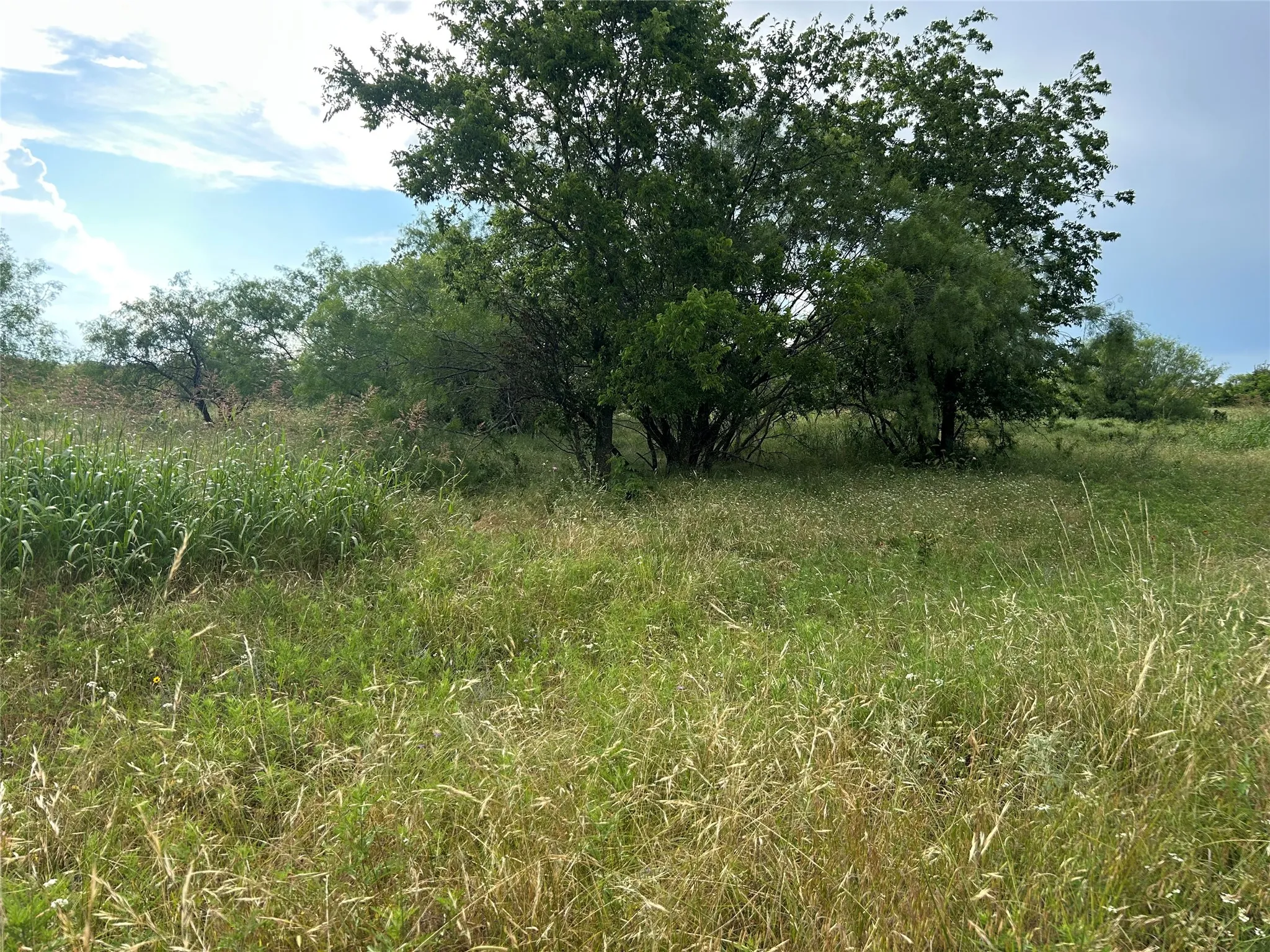 Unimproved Land For Sale in Parker County , 4060 Mirielle Drive, Aledo, Texas 76008, 0, 0, Garage spaces, 0 Sqft, built in 0, Price $175,000, mls#21088173, Real Estate Agent in Aledo, Homes For Sale in Parker county, Homes For Sale in Aledo, Realtor in Aledo Texas, Real Estate Brokerage Independent Realty Texas, Luminita Cordes Realtor
