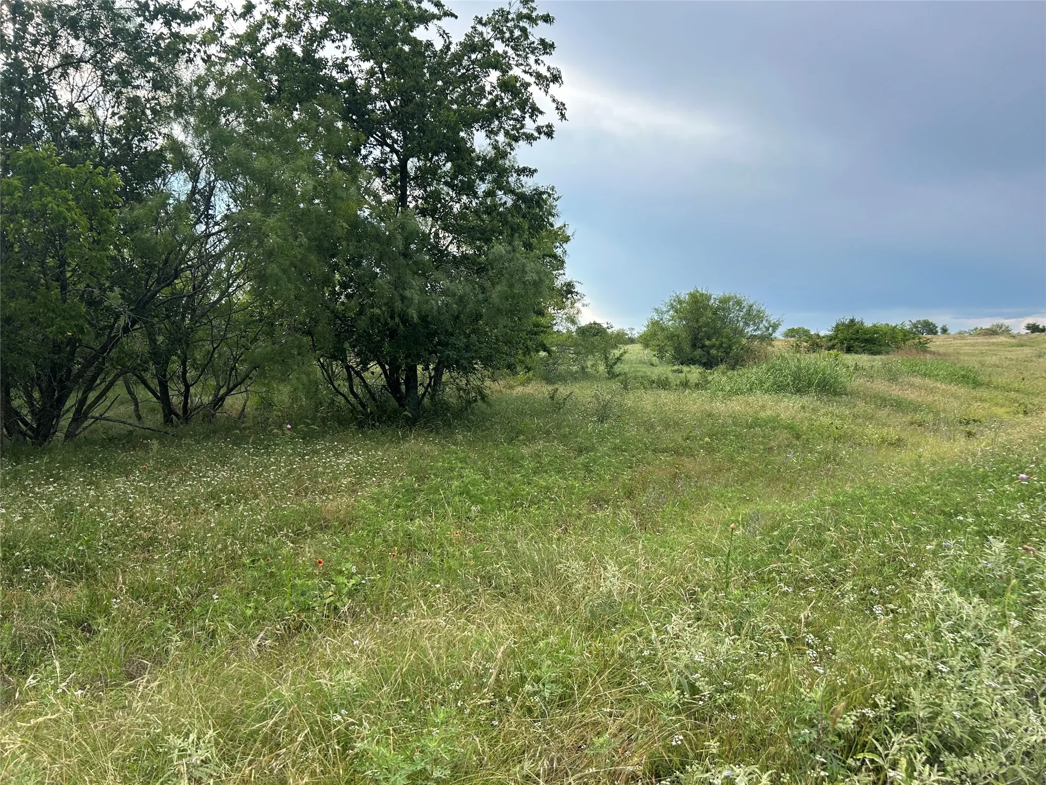 Unimproved Land For Sale in Parker County , 4060 Mirielle Drive, Aledo, Texas 76008, 0, 0, Garage spaces, 0 Sqft, built in 0, Price $175,000, mls#21088173, Real Estate Agent in Aledo, Homes For Sale in Parker county, Homes For Sale in Aledo, Realtor in Aledo Texas, Real Estate Brokerage Independent Realty Texas, Luminita Cordes Realtor