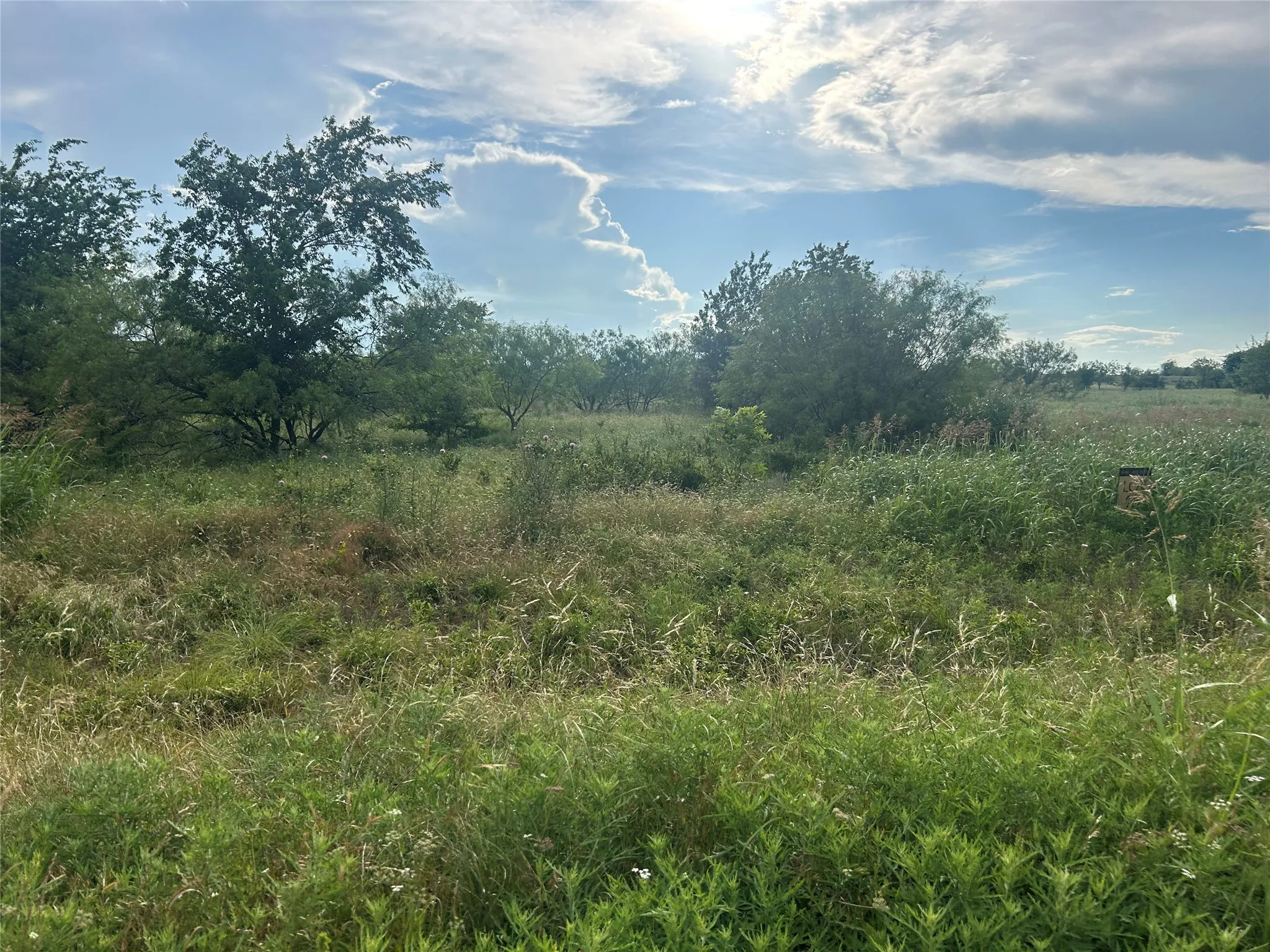 Unimproved Land For Sale in Parker County , 4060 Mirielle Drive, Aledo, Texas 76008, 0, 0, Garage spaces, 0 Sqft, built in 0, Price $175,000, mls#21088173, Real Estate Agent in Aledo, Homes For Sale in Parker county, Homes For Sale in Aledo, Realtor in Aledo Texas, Real Estate Brokerage Independent Realty Texas, Luminita Cordes Realtor