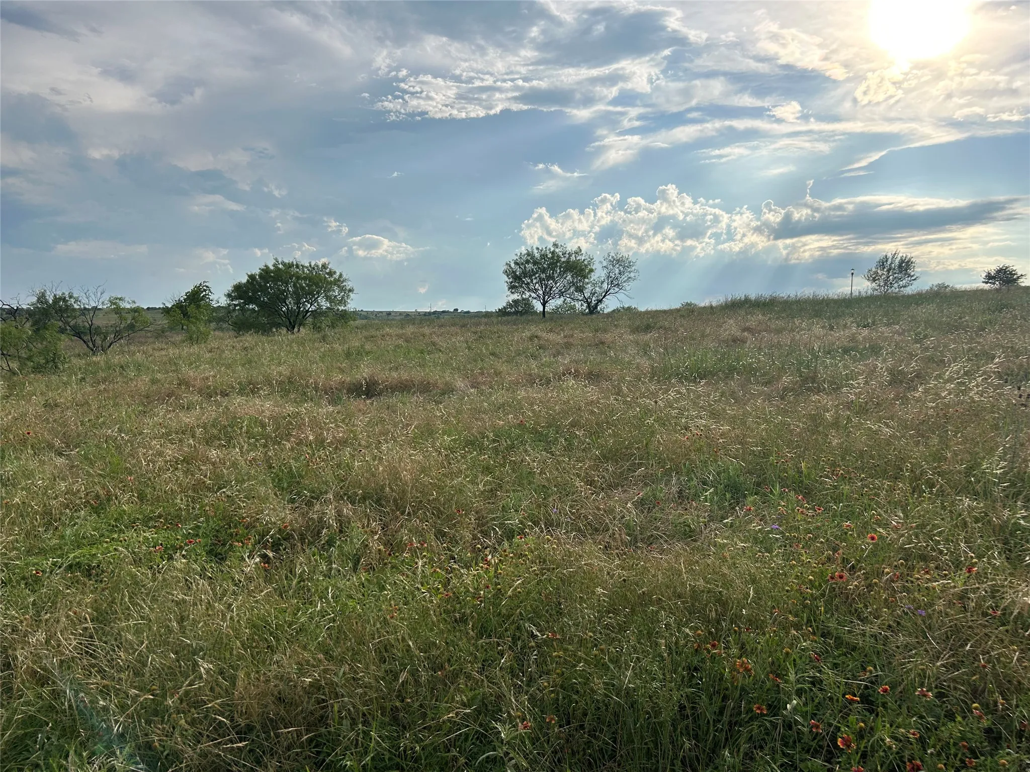 Unimproved Land For Sale in Parker County , 4045 Mirielle Drive, Aledo, Texas 76008, 0, 0, Garage spaces, 0 Sqft, built in 0, mls#21089033, Real Estate Agent in Aledo, Homes For Sale in Parker county, Homes For Sale in Aledo, Realtor in Aledo Texas, Real Estate Brokerage Independent Realty Texas, Luminita Cordes Realtor