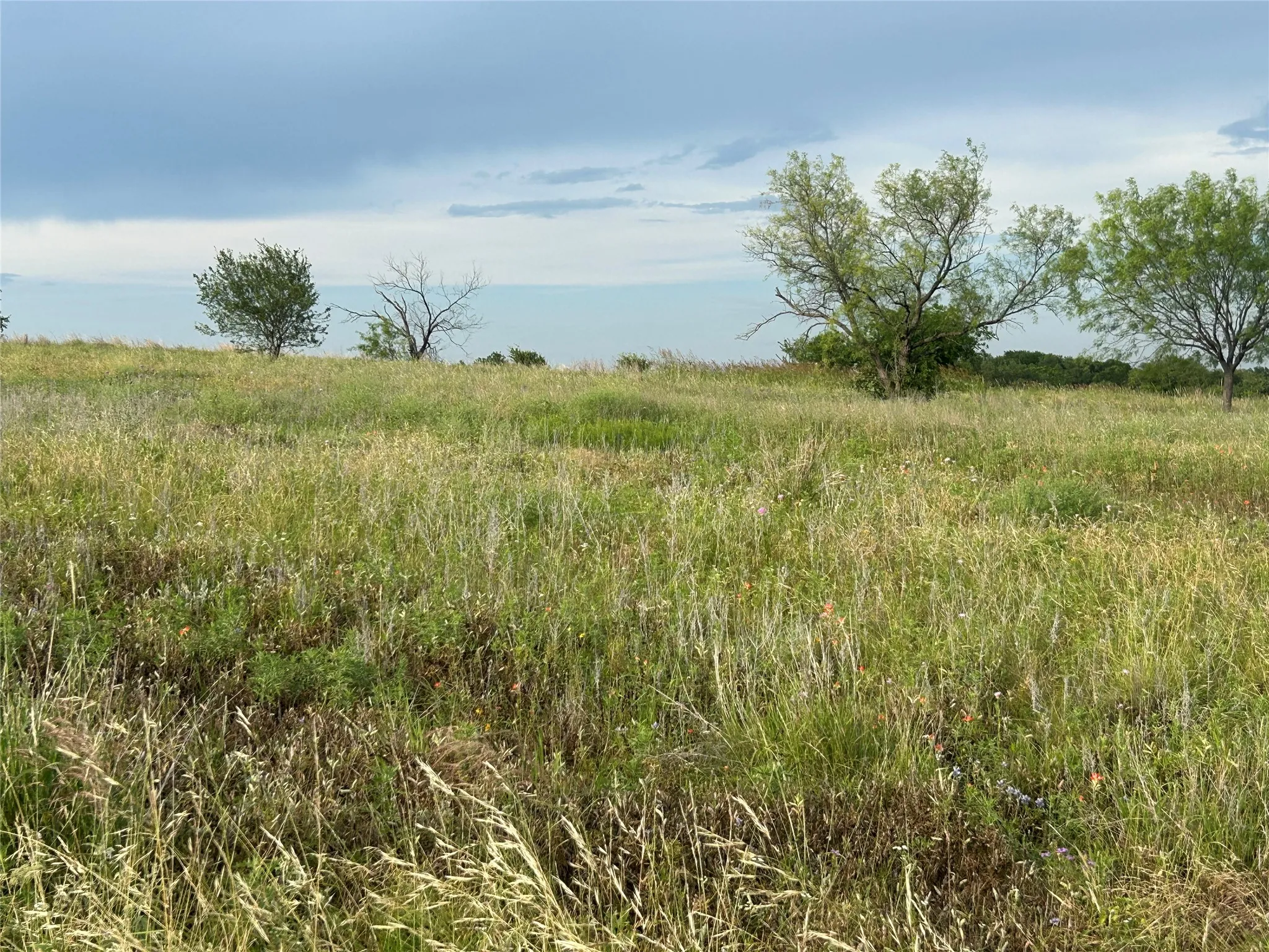 Unimproved Land For Sale in Parker County , 4045 Mirielle Drive, Aledo, Texas 76008, 0, 0, Garage spaces, 0 Sqft, built in 0, mls#21089033, Real Estate Agent in Aledo, Homes For Sale in Parker county, Homes For Sale in Aledo, Realtor in Aledo Texas, Real Estate Brokerage Independent Realty Texas, Luminita Cordes Realtor