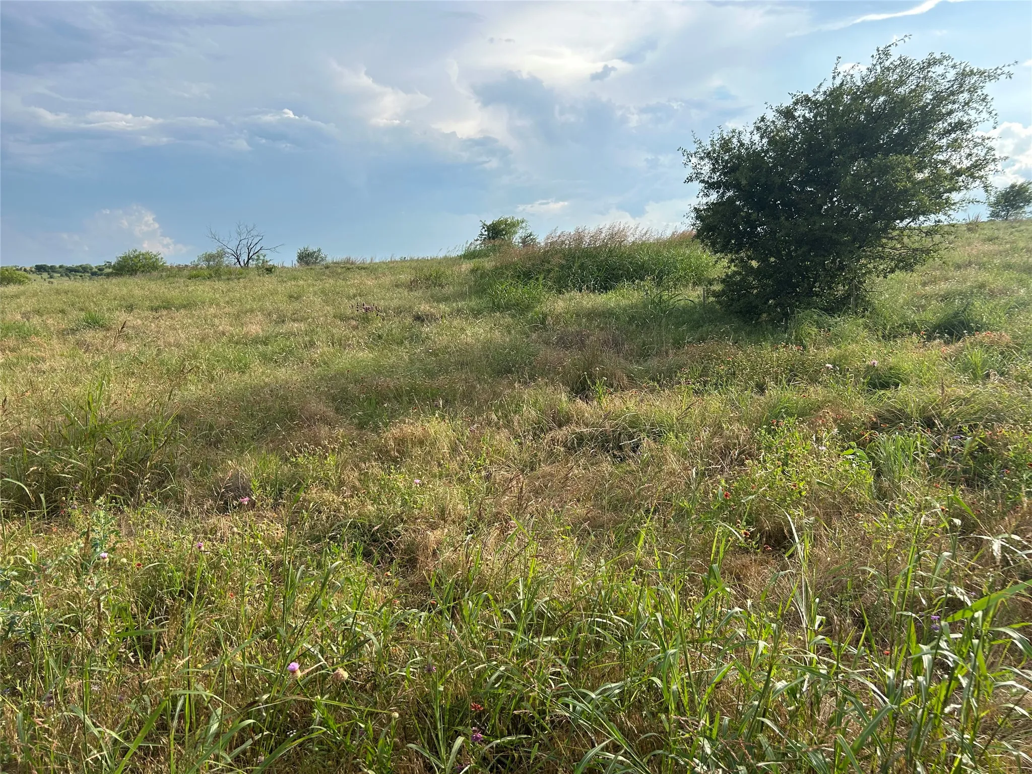 Unimproved Land For Sale in Parker County , 4045 Mirielle Drive, Aledo, Texas 76008, 0, 0, Garage spaces, 0 Sqft, built in 0, mls#21089033, Real Estate Agent in Aledo, Homes For Sale in Parker county, Homes For Sale in Aledo, Realtor in Aledo Texas, Real Estate Brokerage Independent Realty Texas, Luminita Cordes Realtor