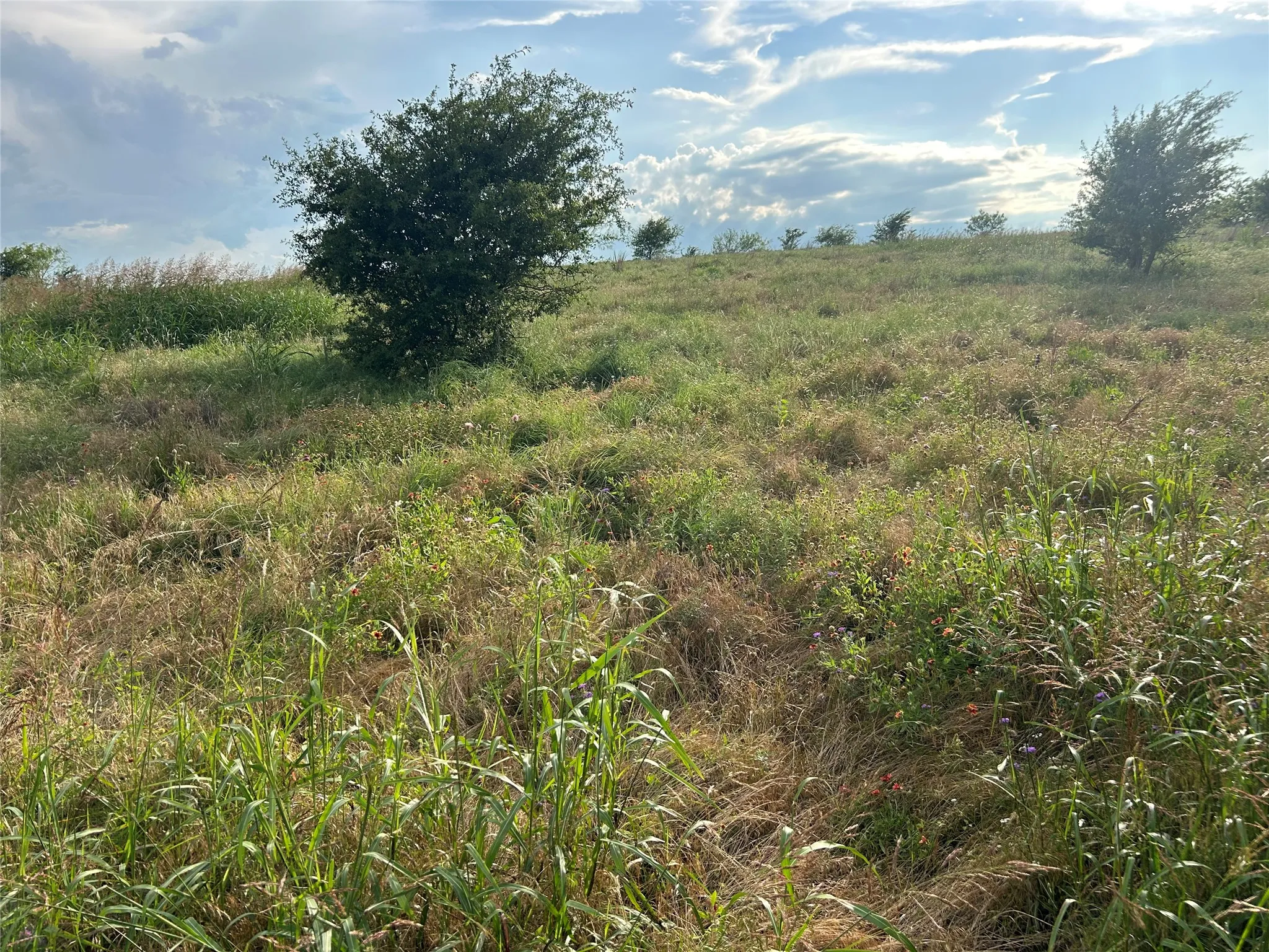 Unimproved Land For Sale in Parker County , 4045 Mirielle Drive, Aledo, Texas 76008, 0, 0, Garage spaces, 0 Sqft, built in 0, mls#21089033, Real Estate Agent in Aledo, Homes For Sale in Parker county, Homes For Sale in Aledo, Realtor in Aledo Texas, Real Estate Brokerage Independent Realty Texas, Luminita Cordes Realtor