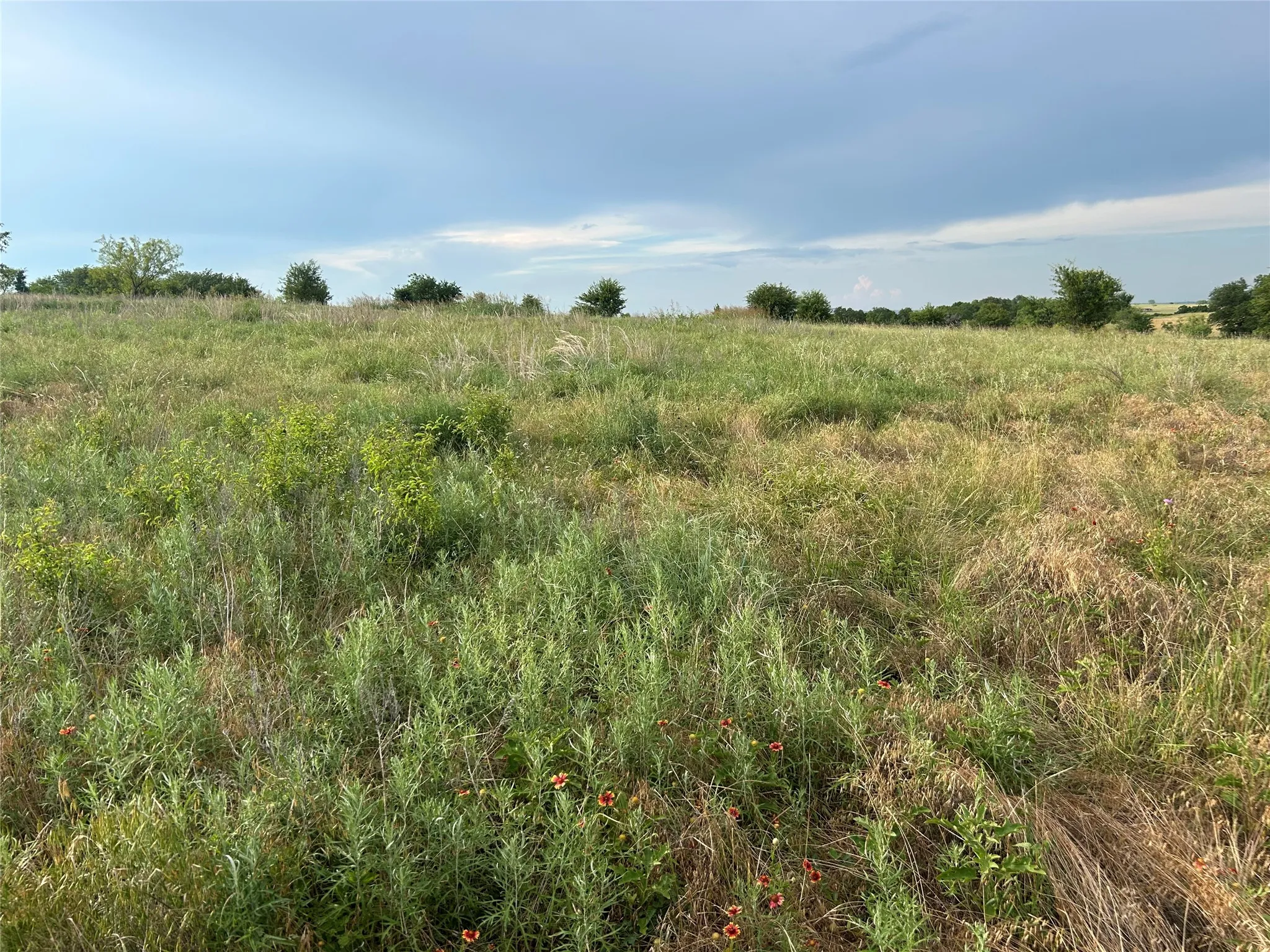 Unimproved Land For Sale in Parker County , 4045 Mirielle Drive, Aledo, Texas 76008, 0, 0, Garage spaces, 0 Sqft, built in 0, mls#21089033, Real Estate Agent in Aledo, Homes For Sale in Parker county, Homes For Sale in Aledo, Realtor in Aledo Texas, Real Estate Brokerage Independent Realty Texas, Luminita Cordes Realtor
