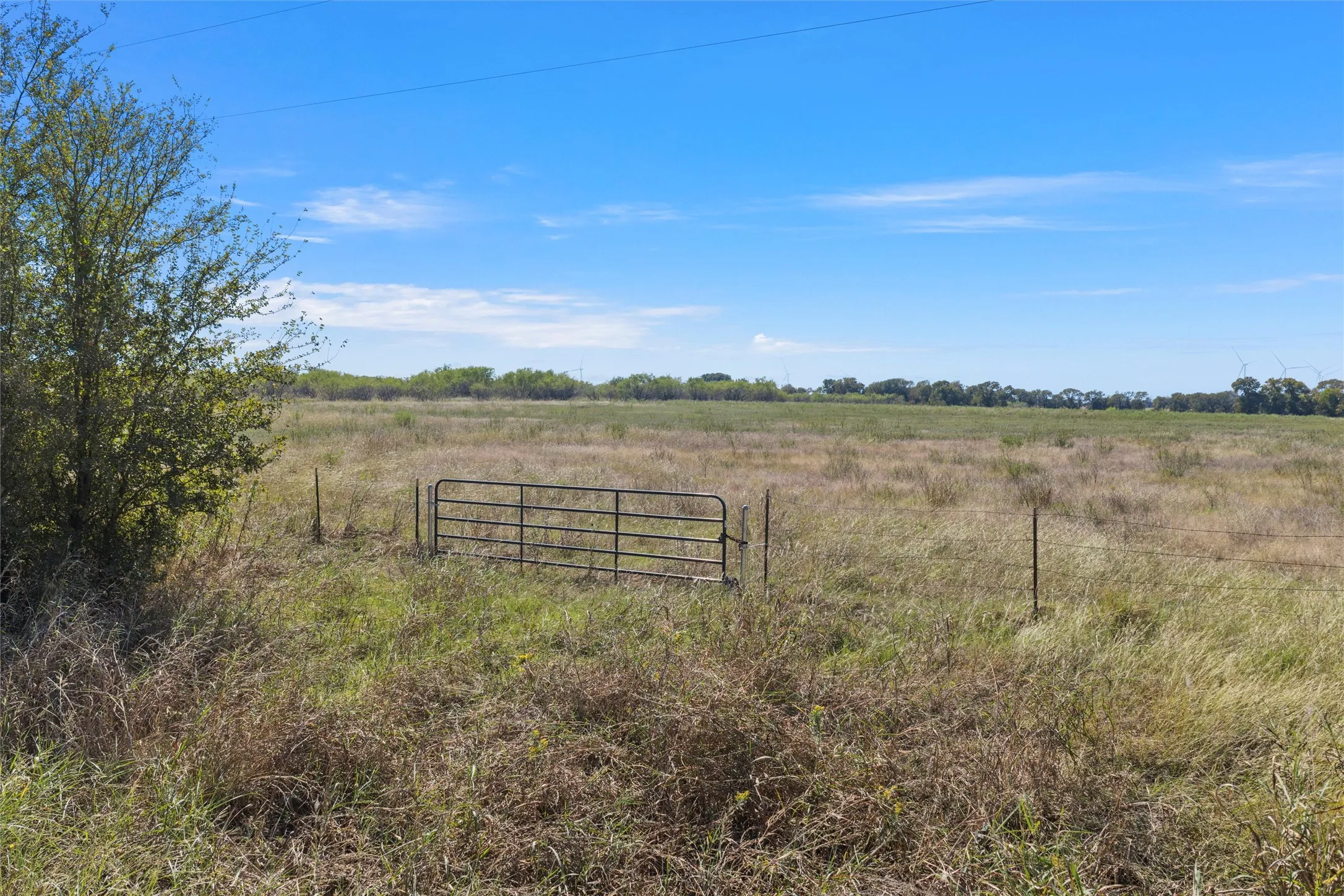 View of yard with a rural view