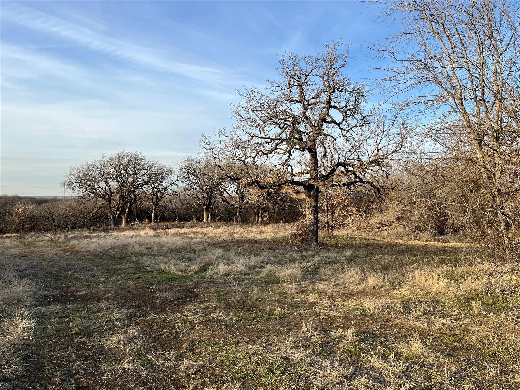 Unimproved Land For Sale in Johnson County , 7832 Greenfield Drive, Alvarado, Texas 76009, 0, 0, Garage spaces, 0 Sqft, built in 0, mls#21088032, Real Estate Agent in Alvarado, Homes For Sale in Johnson county, Homes For Sale in Alvarado, Realtor in Alvarado Texas, Real Estate Brokerage Independent Realty Texas, Luminita Cordes Realtor