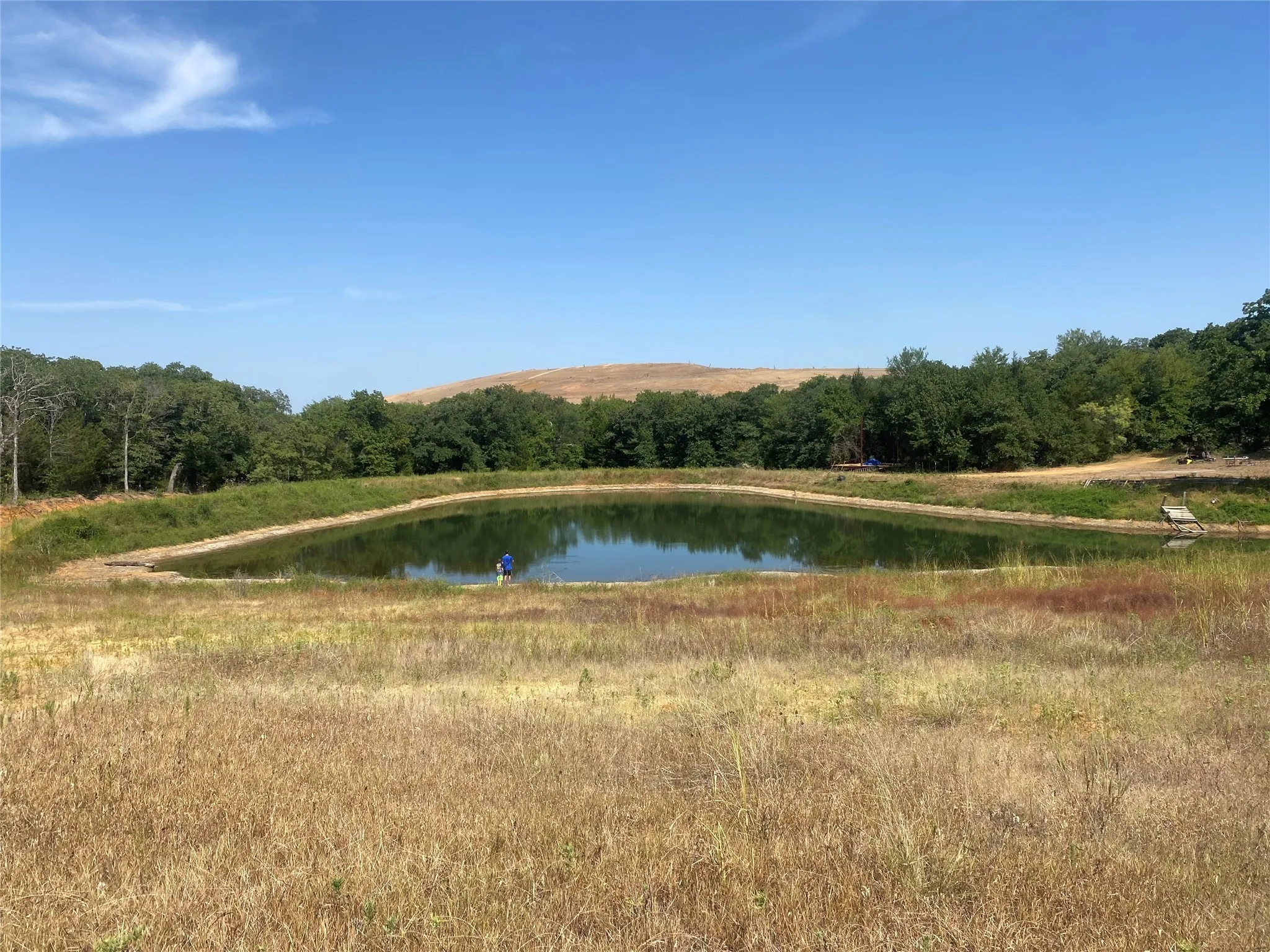 Unimproved Land For Sale in Johnson County , 7832 Greenfield Drive, Alvarado, Texas 76009, 0, 0, Garage spaces, 0 Sqft, built in 0, mls#21088032, Real Estate Agent in Alvarado, Homes For Sale in Johnson county, Homes For Sale in Alvarado, Realtor in Alvarado Texas, Real Estate Brokerage Independent Realty Texas, Luminita Cordes Realtor