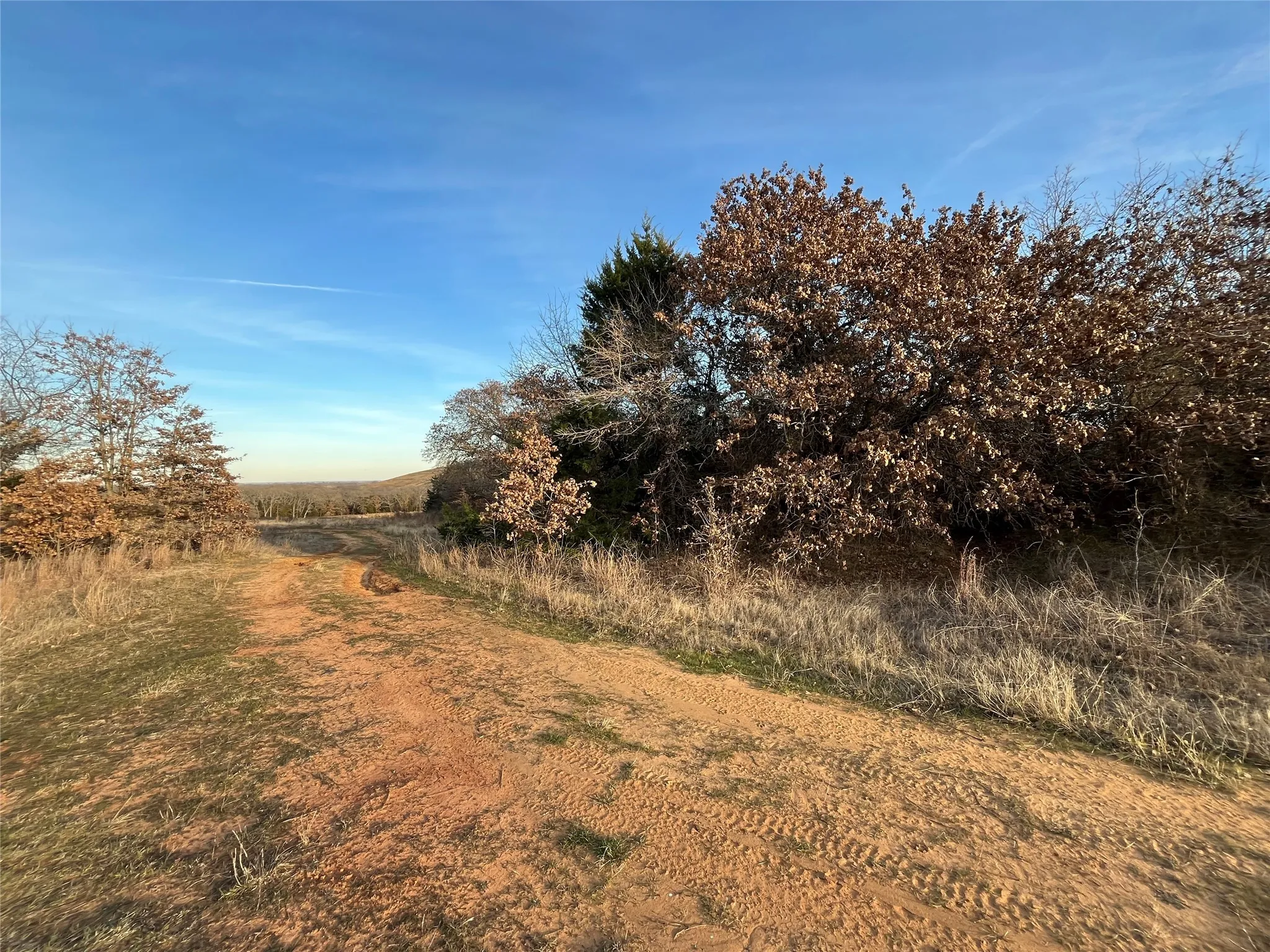 Unimproved Land For Sale in Johnson County , 7832 Greenfield Drive, Alvarado, Texas 76009, 0, 0, Garage spaces, 0 Sqft, built in 0, mls#21088032, Real Estate Agent in Alvarado, Homes For Sale in Johnson county, Homes For Sale in Alvarado, Realtor in Alvarado Texas, Real Estate Brokerage Independent Realty Texas, Luminita Cordes Realtor
