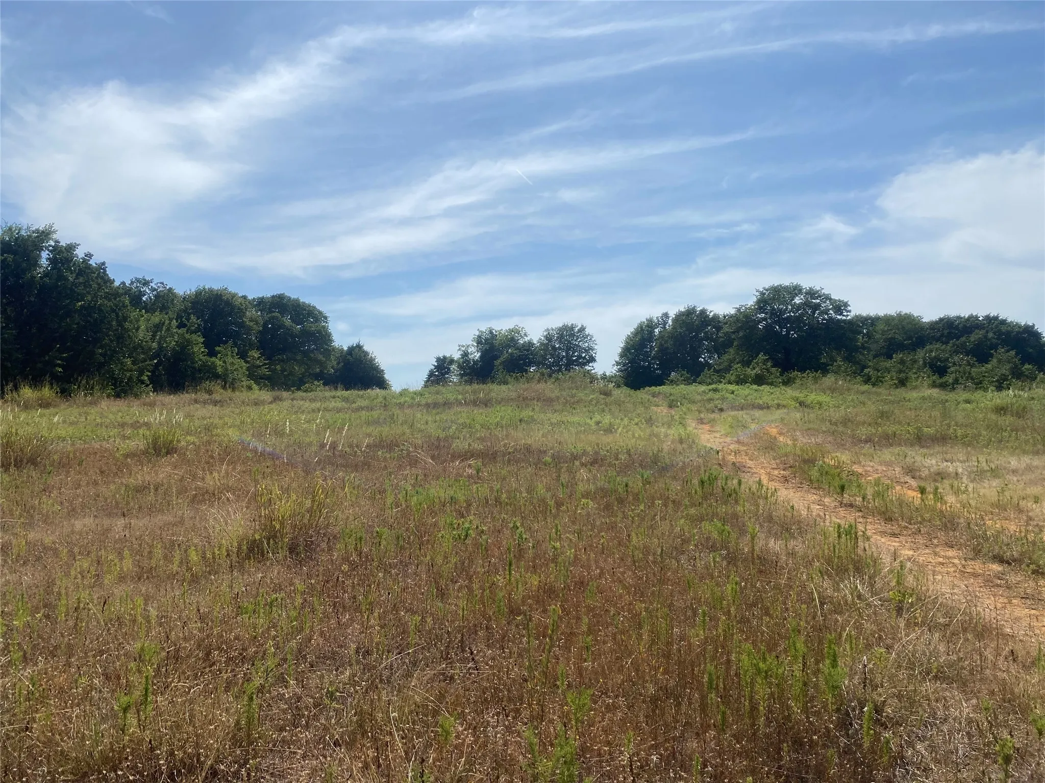 Unimproved Land For Sale in Johnson County , 7832 Greenfield Drive, Alvarado, Texas 76009, 0, 0, Garage spaces, 0 Sqft, built in 0, mls#21088032, Real Estate Agent in Alvarado, Homes For Sale in Johnson county, Homes For Sale in Alvarado, Realtor in Alvarado Texas, Real Estate Brokerage Independent Realty Texas, Luminita Cordes Realtor
