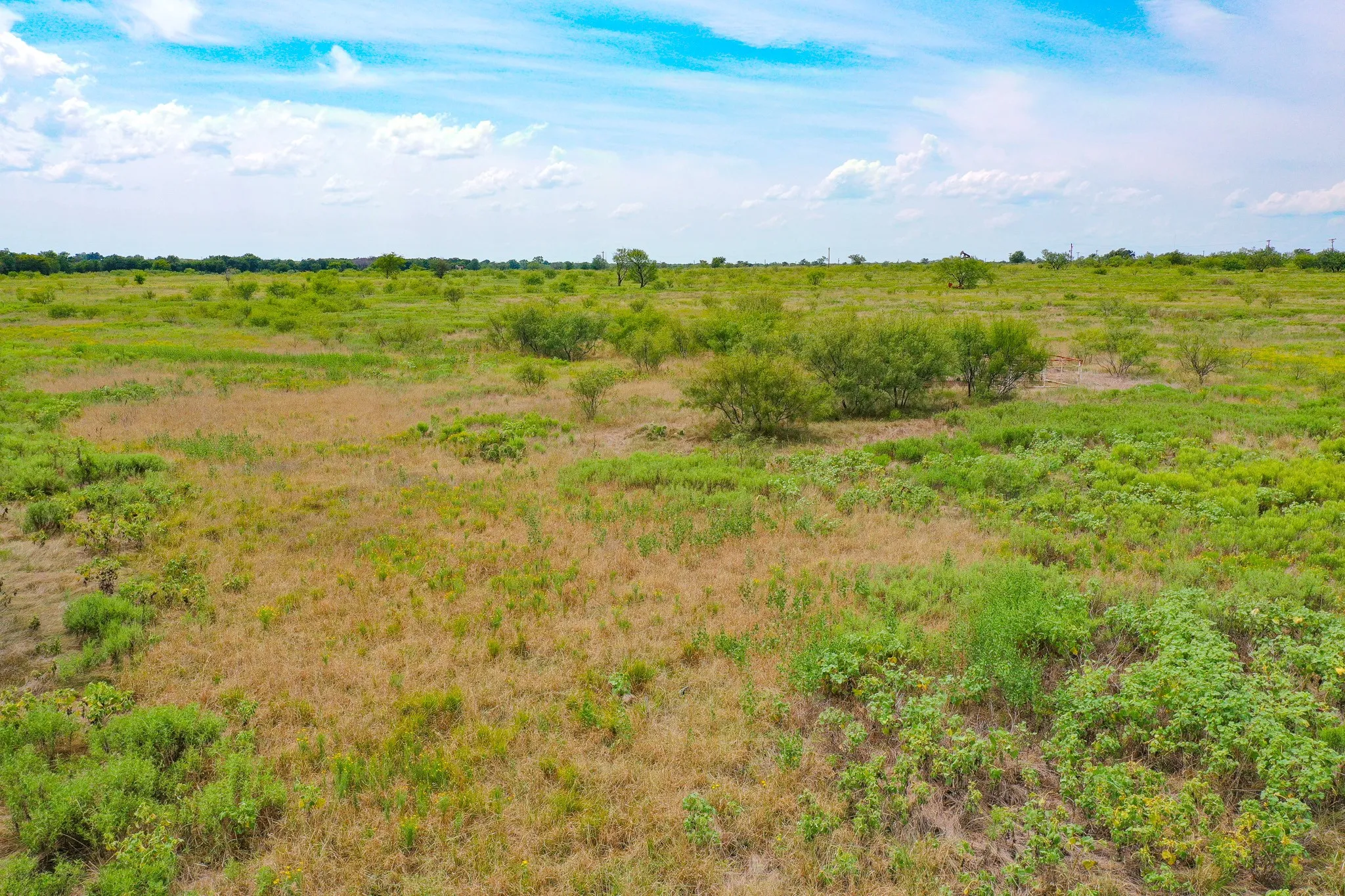 Ranch For Sale in Jack County , 12.34 Acres 199 Highway, Jacksboro, Texas 76458, 0, 0, Garage spaces, 0 Sqft, built in 0, mls#21089216, Real Estate Agent in Jacksboro, Homes For Sale in Jack county, Homes For Sale in Jacksboro, Realtor in Jacksboro Texas, Real Estate Brokerage Independent Realty Texas, Luminita Cordes Realtor