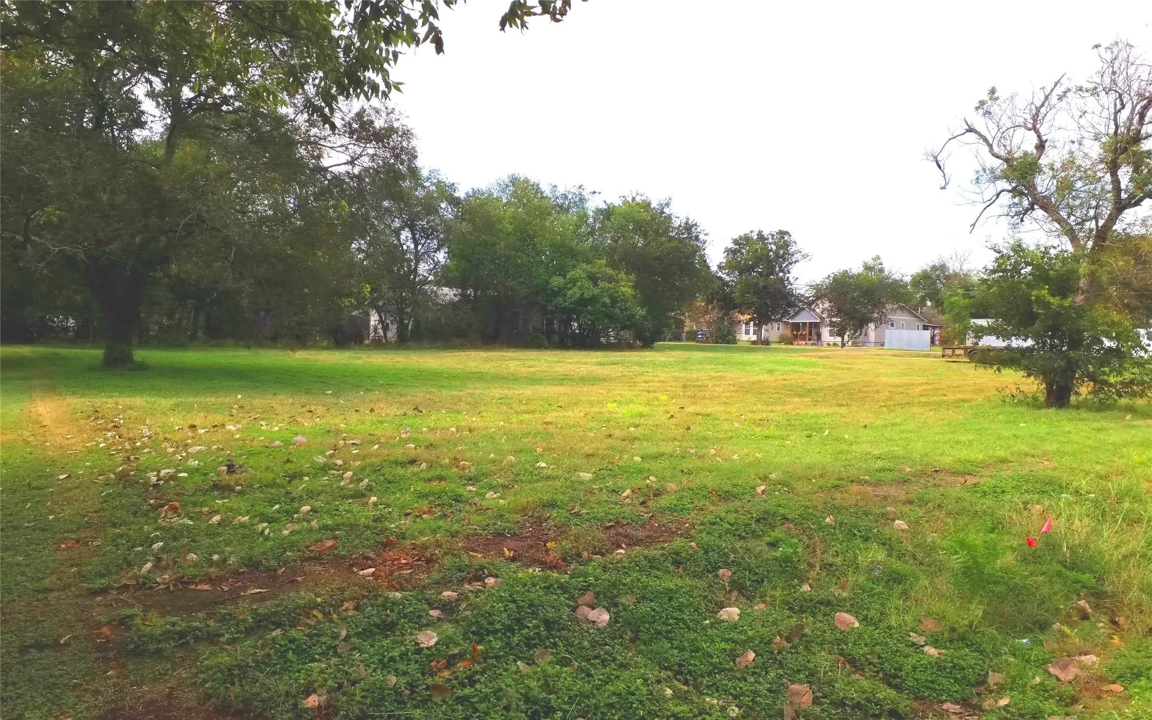 Unimproved Land For Sale in Mc Lennan County , 301 4th Street, Eddy, Texas 76524, 0, 0, Garage spaces, 0 Sqft, built in 0, mls#21087262, Real Estate Agent in Eddy, Homes For Sale in Mc Lennan county, Homes For Sale in Eddy, Realtor in Eddy Texas, Real Estate Brokerage Independent Realty Texas, Luminita Cordes Realtor
