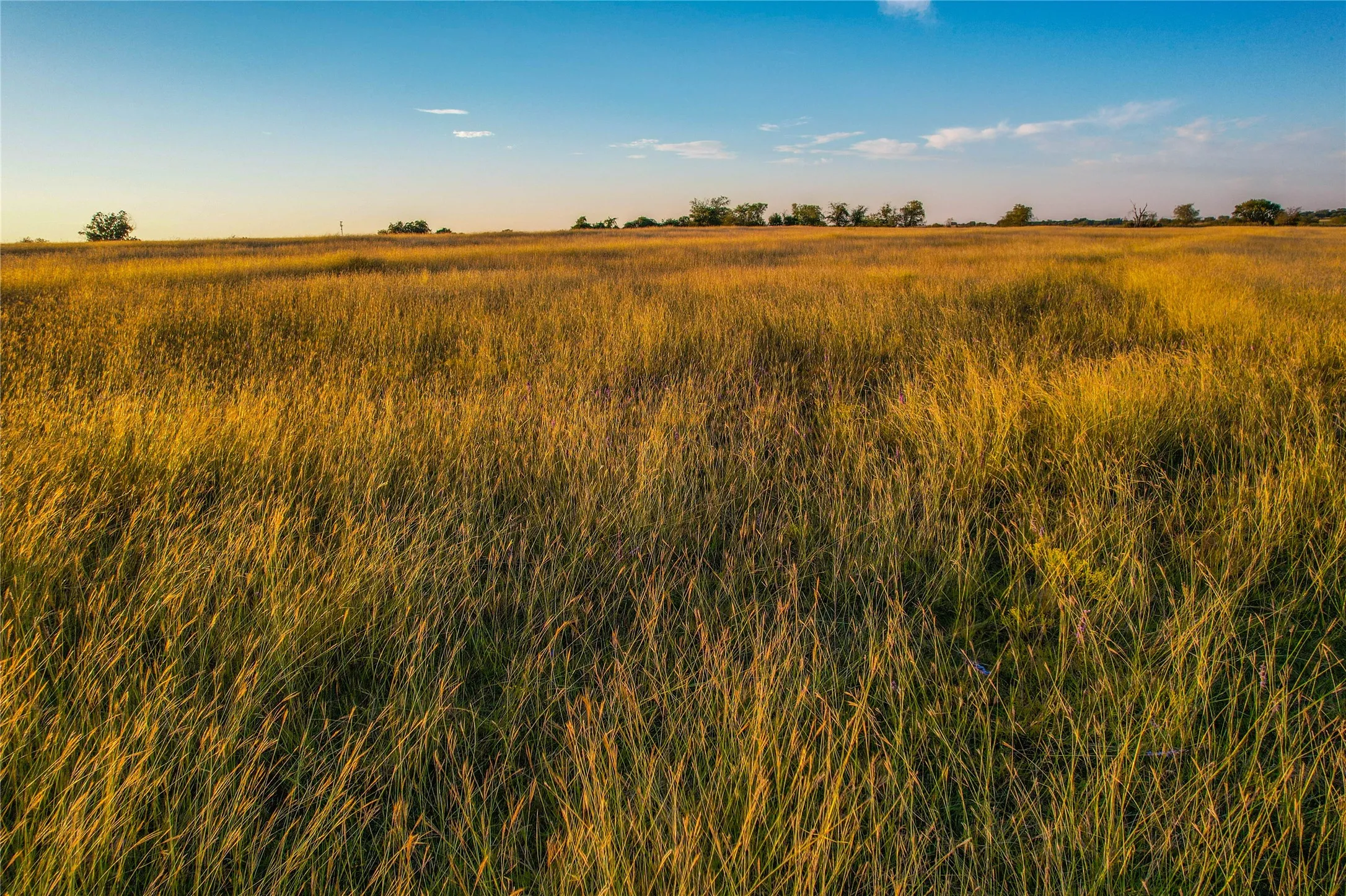 View of undeveloped land featuring rural landscape