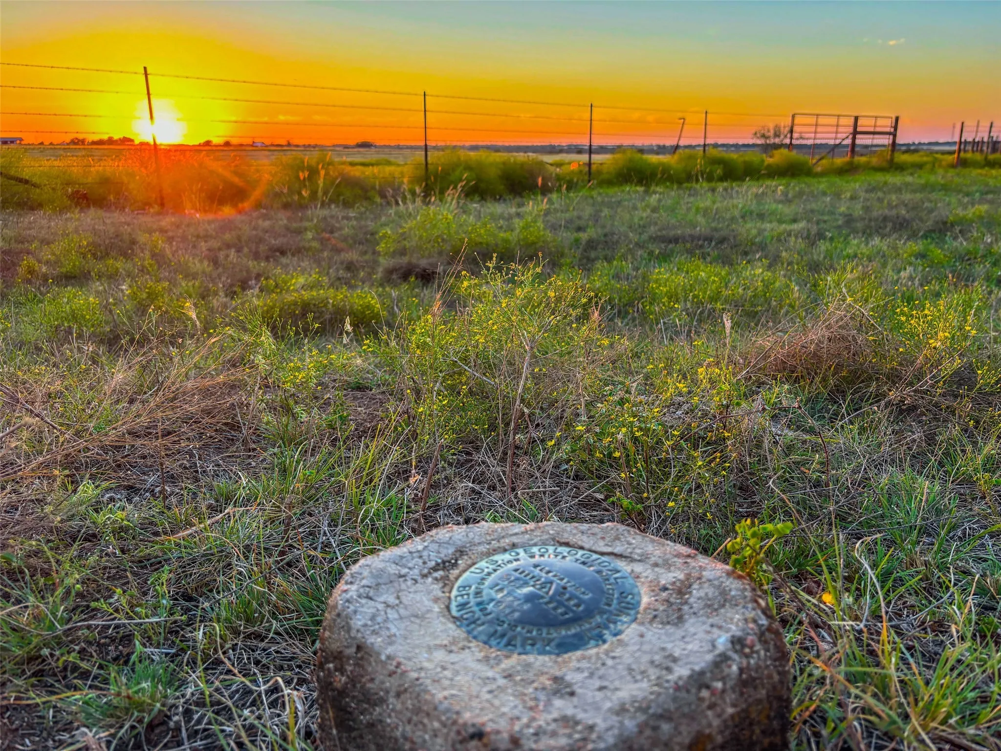 View of nature at dusk