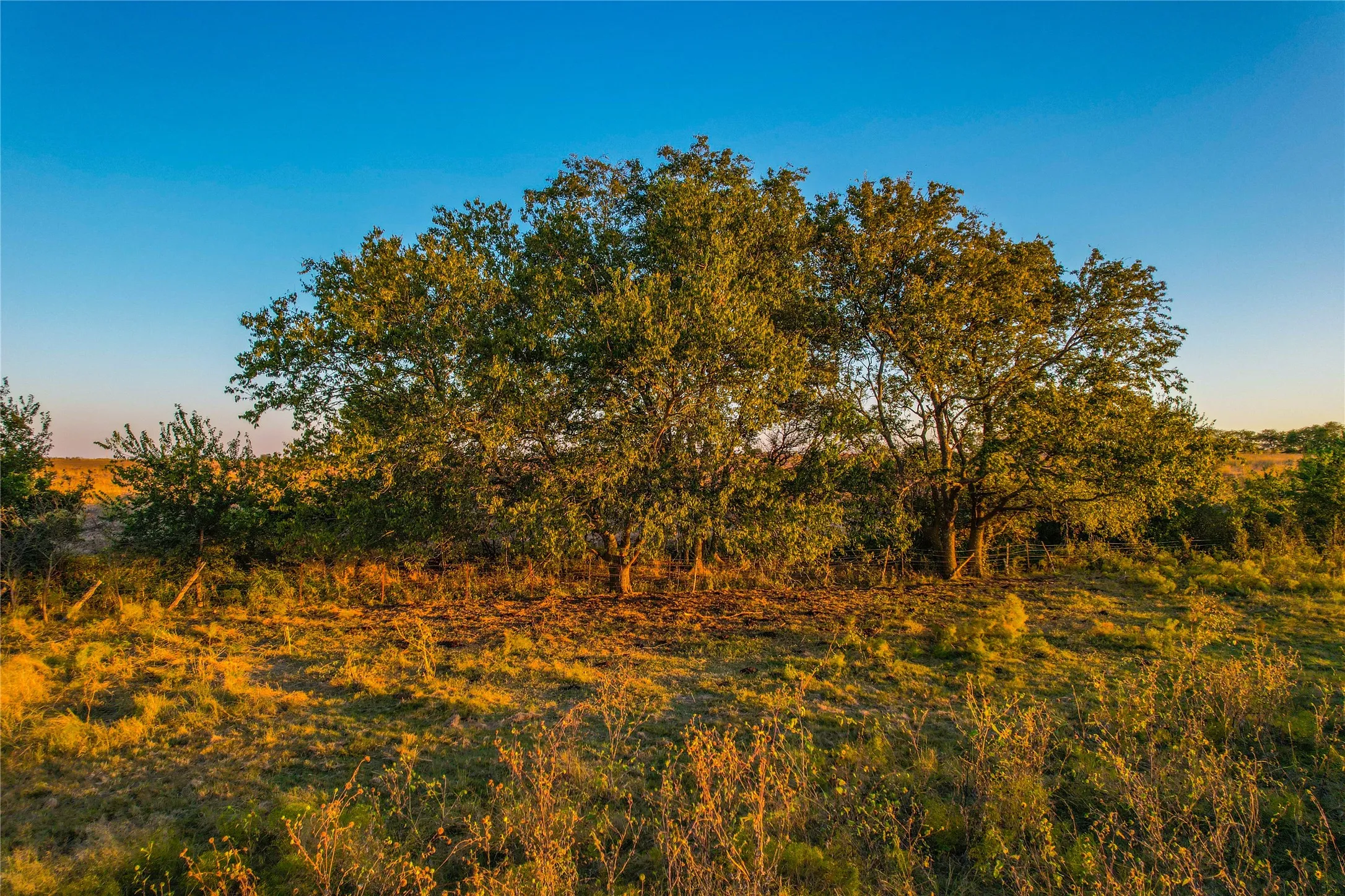 View of undeveloped land featuring rural landscape