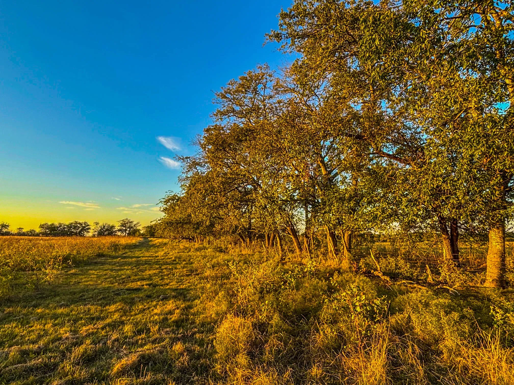 View of nature with rural landscape