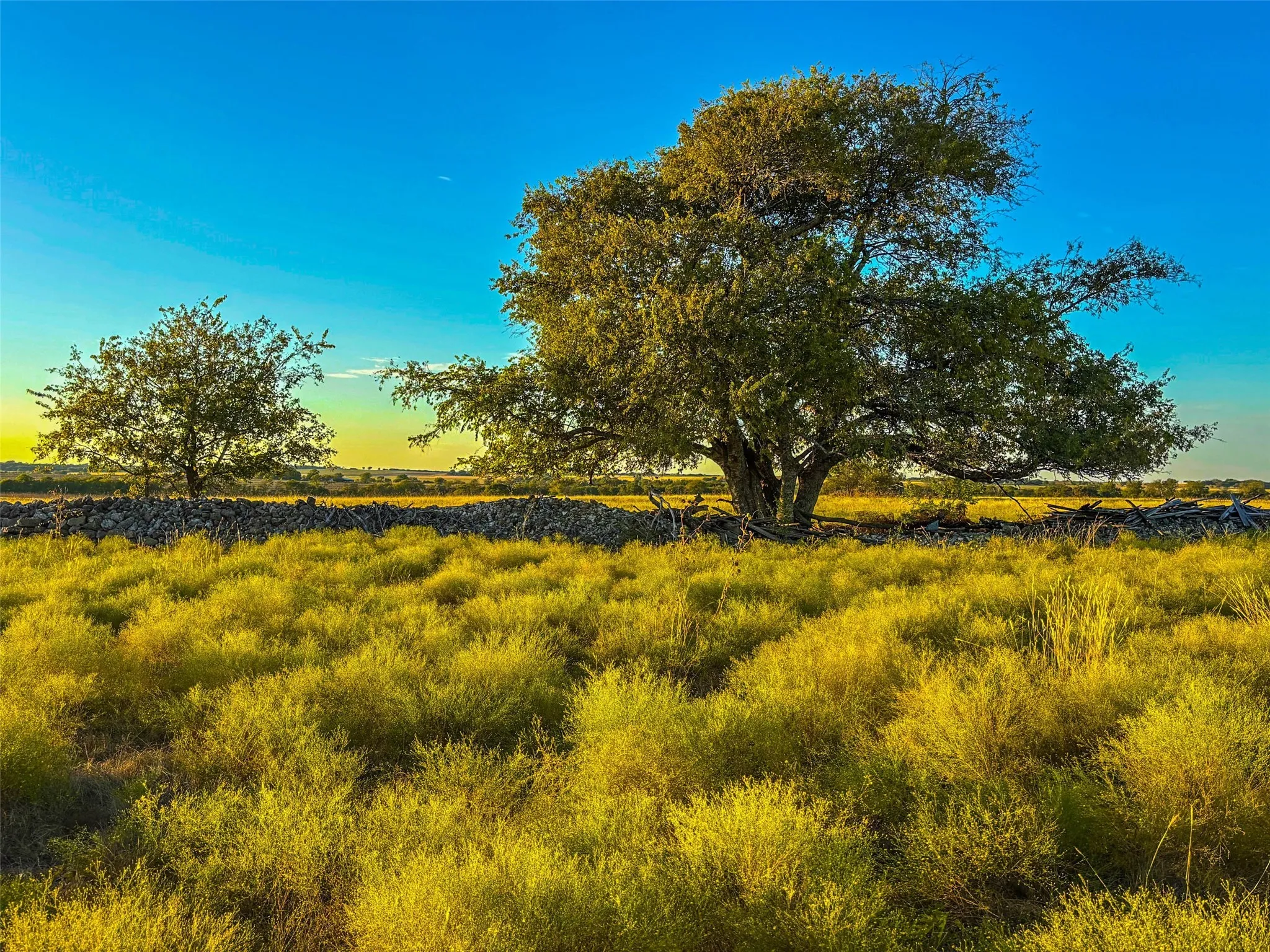 View of nature with rural landscape