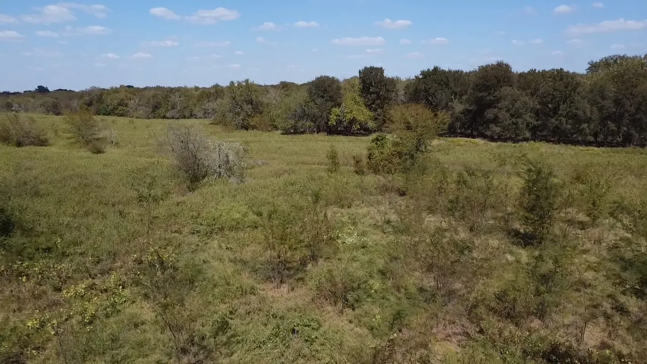 Ranch For Sale in Navarro County , Tbd SW CR 3160, Dawson, Texas 76639, 0, 0, Garage spaces, 0 Sqft, built in 0, mls#21087580, Real Estate Agent in Dawson, Homes For Sale in Navarro county, Homes For Sale in Dawson, Realtor in Dawson Texas, Real Estate Brokerage Independent Realty Texas, Luminita Cordes Realtor