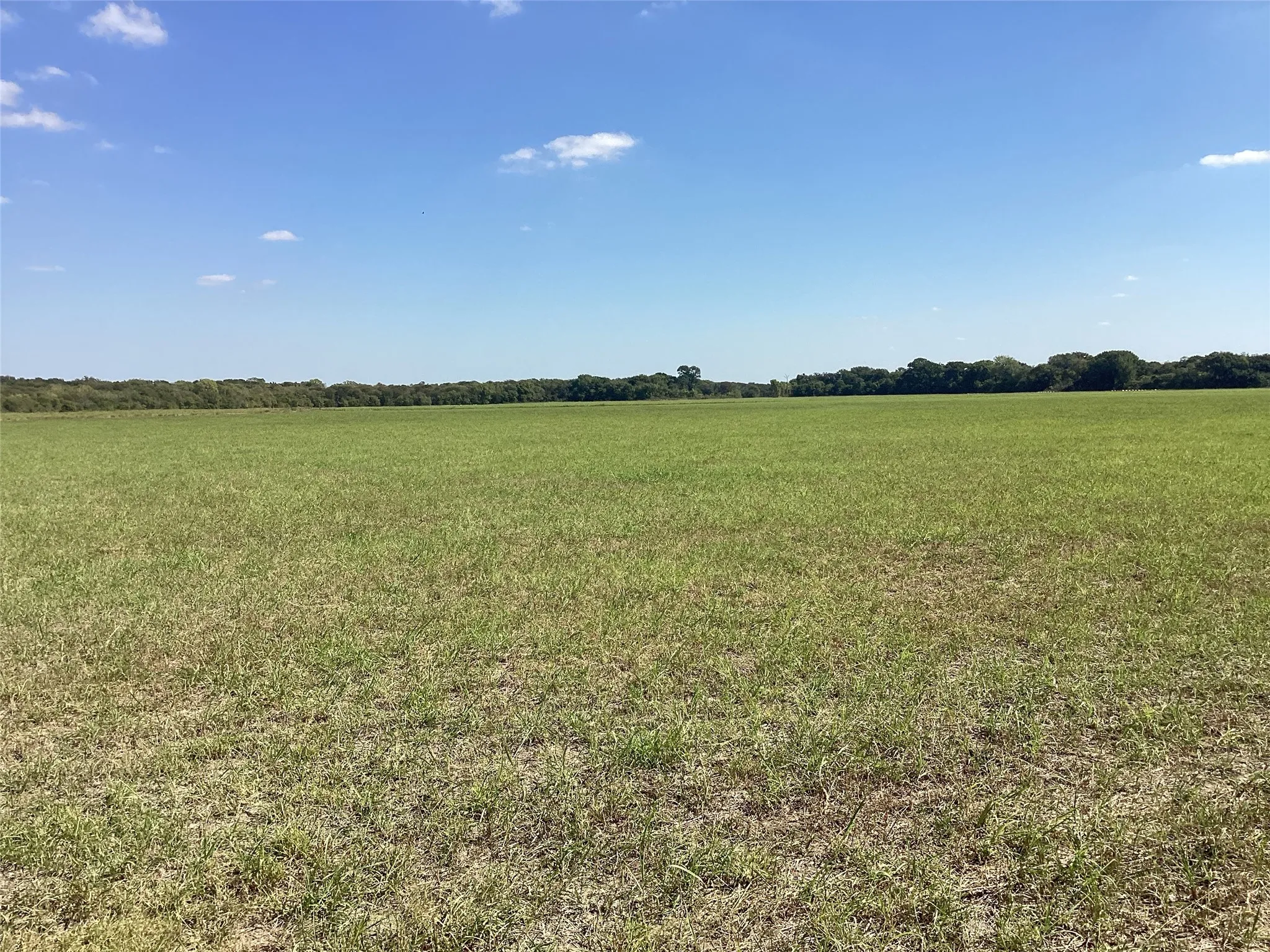 Ranch For Sale in Navarro County , Tbd SW CR 3160, Dawson, Texas 76639, 0, 0, Garage spaces, 0 Sqft, built in 0, mls#21087580, Real Estate Agent in Dawson, Homes For Sale in Navarro county, Homes For Sale in Dawson, Realtor in Dawson Texas, Real Estate Brokerage Independent Realty Texas, Luminita Cordes Realtor