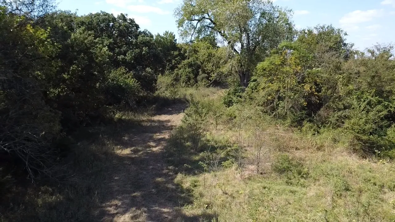 Ranch For Sale in Navarro County , Tbd SW CR 3160, Dawson, Texas 76639, 0, 0, Garage spaces, 0 Sqft, built in 0, mls#21087580, Real Estate Agent in Dawson, Homes For Sale in Navarro county, Homes For Sale in Dawson, Realtor in Dawson Texas, Real Estate Brokerage Independent Realty Texas, Luminita Cordes Realtor