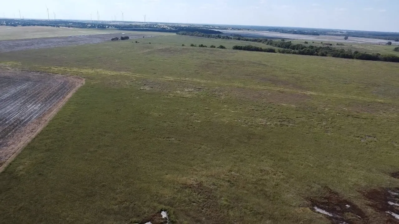 Ranch For Sale in Navarro County , Tbd SW CR 3160, Dawson, Texas 76639, 0, 0, Garage spaces, 0 Sqft, built in 0, mls#21087580, Real Estate Agent in Dawson, Homes For Sale in Navarro county, Homes For Sale in Dawson, Realtor in Dawson Texas, Real Estate Brokerage Independent Realty Texas, Luminita Cordes Realtor