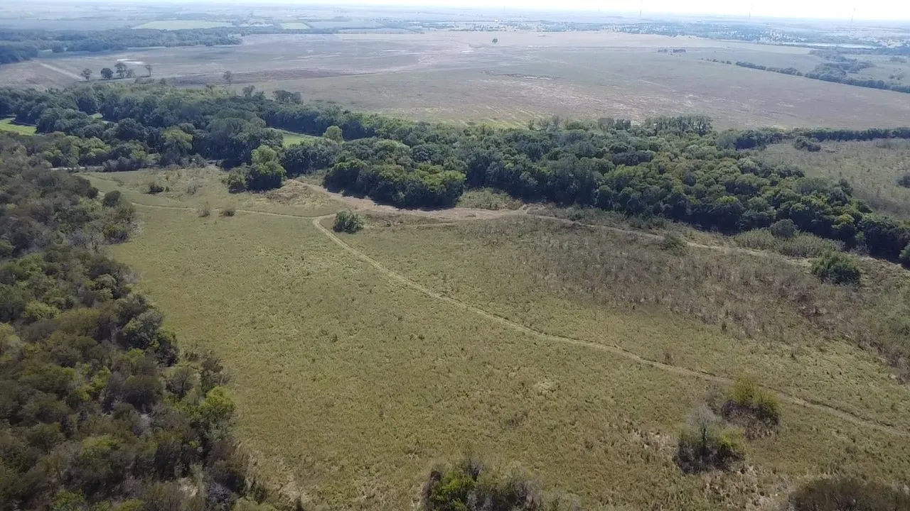 Ranch For Sale in Navarro County , Tbd SW CR 3160, Dawson, Texas 76639, 0, 0, Garage spaces, 0 Sqft, built in 0, mls#21087580, Real Estate Agent in Dawson, Homes For Sale in Navarro county, Homes For Sale in Dawson, Realtor in Dawson Texas, Real Estate Brokerage Independent Realty Texas, Luminita Cordes Realtor