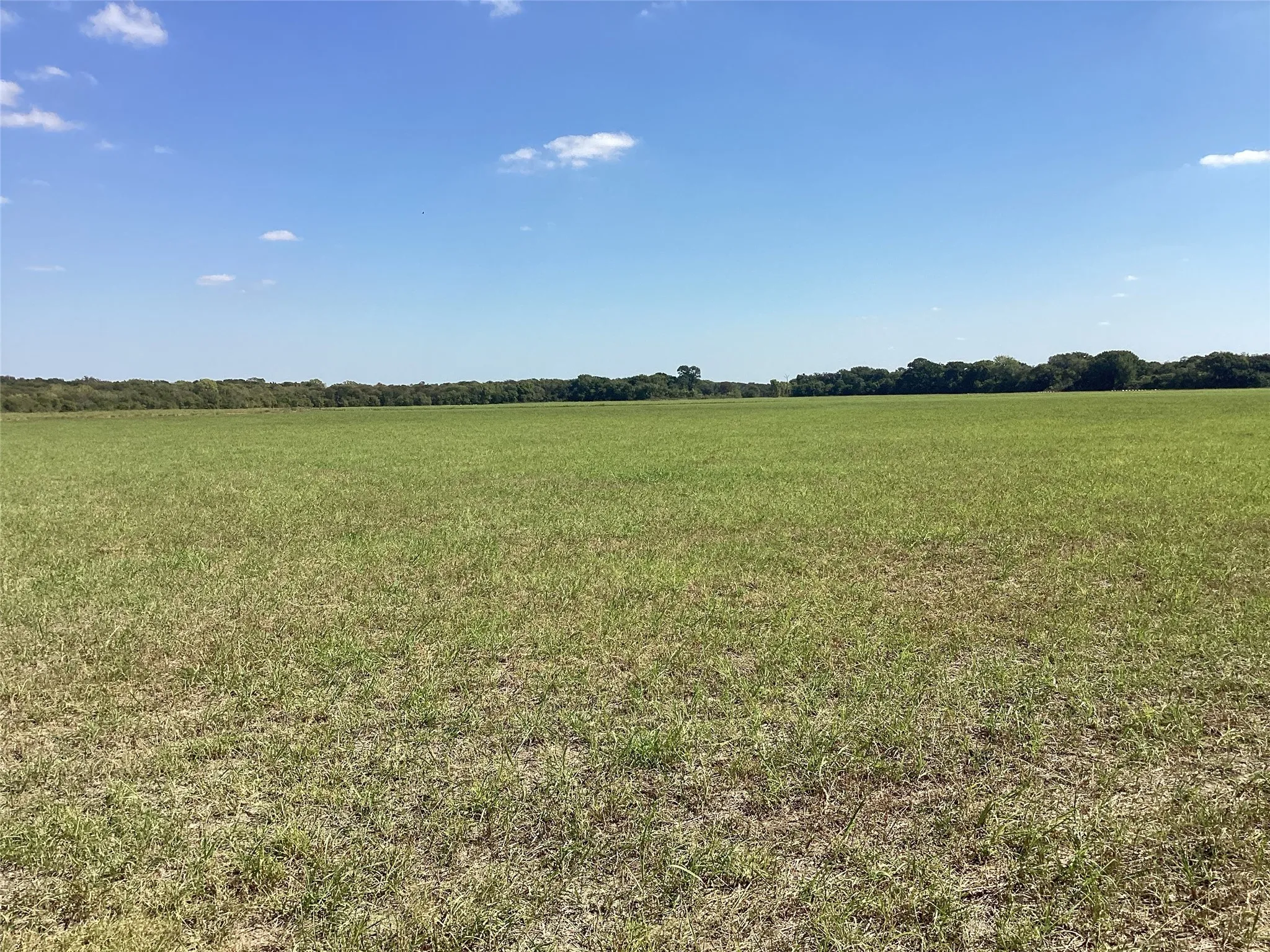 Ranch For Sale in Navarro County , Tbd SW CR 3160, Dawson, Texas 76639, 0, 0, Garage spaces, 0 Sqft, built in 0, mls#21087580, Real Estate Agent in Dawson, Homes For Sale in Navarro county, Homes For Sale in Dawson, Realtor in Dawson Texas, Real Estate Brokerage Independent Realty Texas, Luminita Cordes Realtor