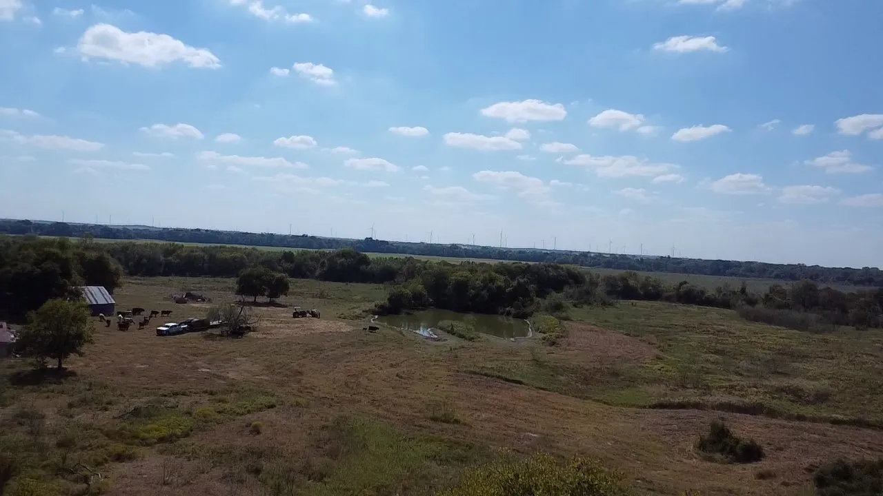 Ranch For Sale in Navarro County , Tbd SW CR 3160, Dawson, Texas 76639, 0, 0, Garage spaces, 0 Sqft, built in 0, mls#21087580, Real Estate Agent in Dawson, Homes For Sale in Navarro county, Homes For Sale in Dawson, Realtor in Dawson Texas, Real Estate Brokerage Independent Realty Texas, Luminita Cordes Realtor