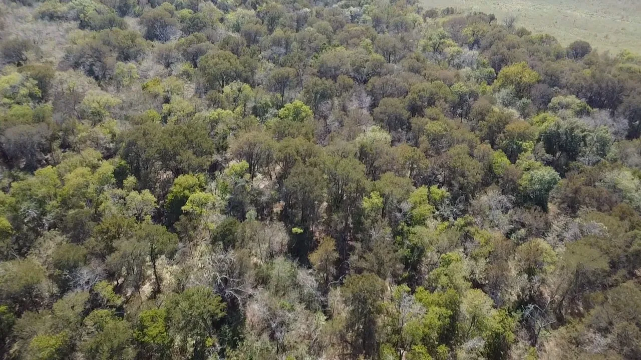 Ranch For Sale in Navarro County , Tbd SW CR 3160, Dawson, Texas 76639, 0, 0, Garage spaces, 0 Sqft, built in 0, mls#21087580, Real Estate Agent in Dawson, Homes For Sale in Navarro county, Homes For Sale in Dawson, Realtor in Dawson Texas, Real Estate Brokerage Independent Realty Texas, Luminita Cordes Realtor