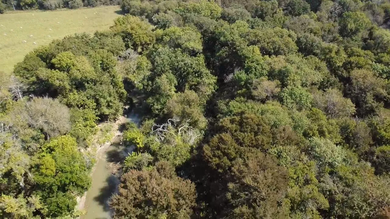 Ranch For Sale in Navarro County , Tbd SW CR 3160, Dawson, Texas 76639, 0, 0, Garage spaces, 0 Sqft, built in 0, mls#21087580, Real Estate Agent in Dawson, Homes For Sale in Navarro county, Homes For Sale in Dawson, Realtor in Dawson Texas, Real Estate Brokerage Independent Realty Texas, Luminita Cordes Realtor