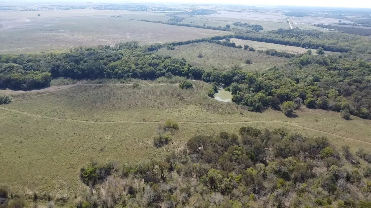 Ranch For Sale in Navarro County , Tbd SW CR 3160, Dawson, Texas 76639, 0, 0, Garage spaces, 0 Sqft, built in 0, mls#21087580, Real Estate Agent in Dawson, Homes For Sale in Navarro county, Homes For Sale in Dawson, Realtor in Dawson Texas, Real Estate Brokerage Independent Realty Texas, Luminita Cordes Realtor