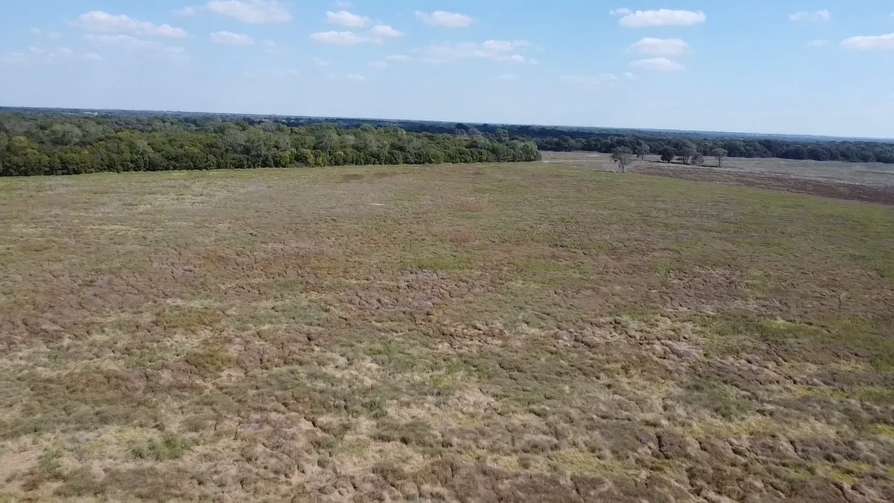 Ranch For Sale in Navarro County , Tbd SW CR 3160, Dawson, Texas 76639, 0, 0, Garage spaces, 0 Sqft, built in 0, mls#21087580, Real Estate Agent in Dawson, Homes For Sale in Navarro county, Homes For Sale in Dawson, Realtor in Dawson Texas, Real Estate Brokerage Independent Realty Texas, Luminita Cordes Realtor