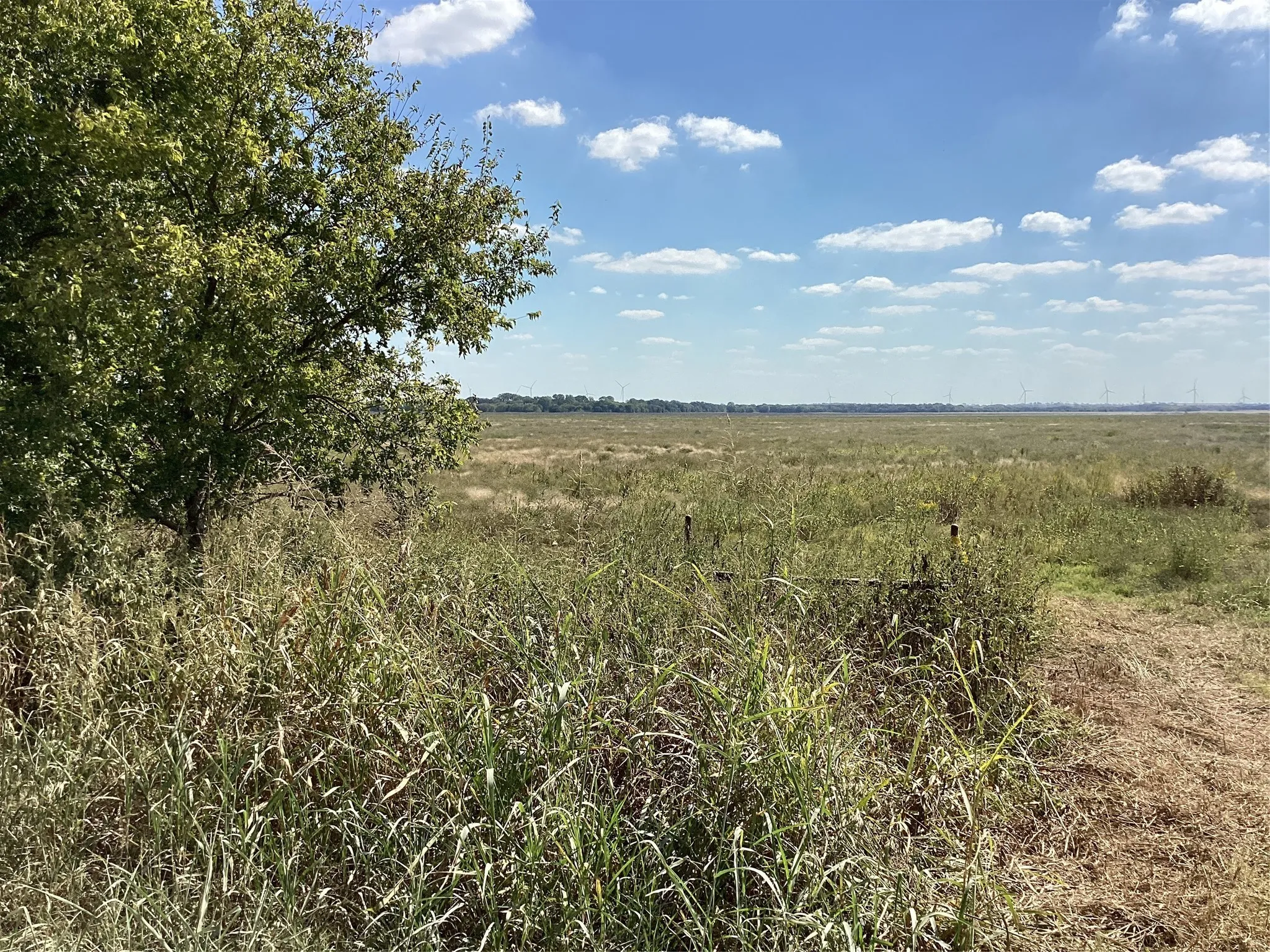 Ranch For Sale in Navarro County , Tbd SW CR 3160, Dawson, Texas 76639, 0, 0, Garage spaces, 0 Sqft, built in 0, mls#21087580, Real Estate Agent in Dawson, Homes For Sale in Navarro county, Homes For Sale in Dawson, Realtor in Dawson Texas, Real Estate Brokerage Independent Realty Texas, Luminita Cordes Realtor