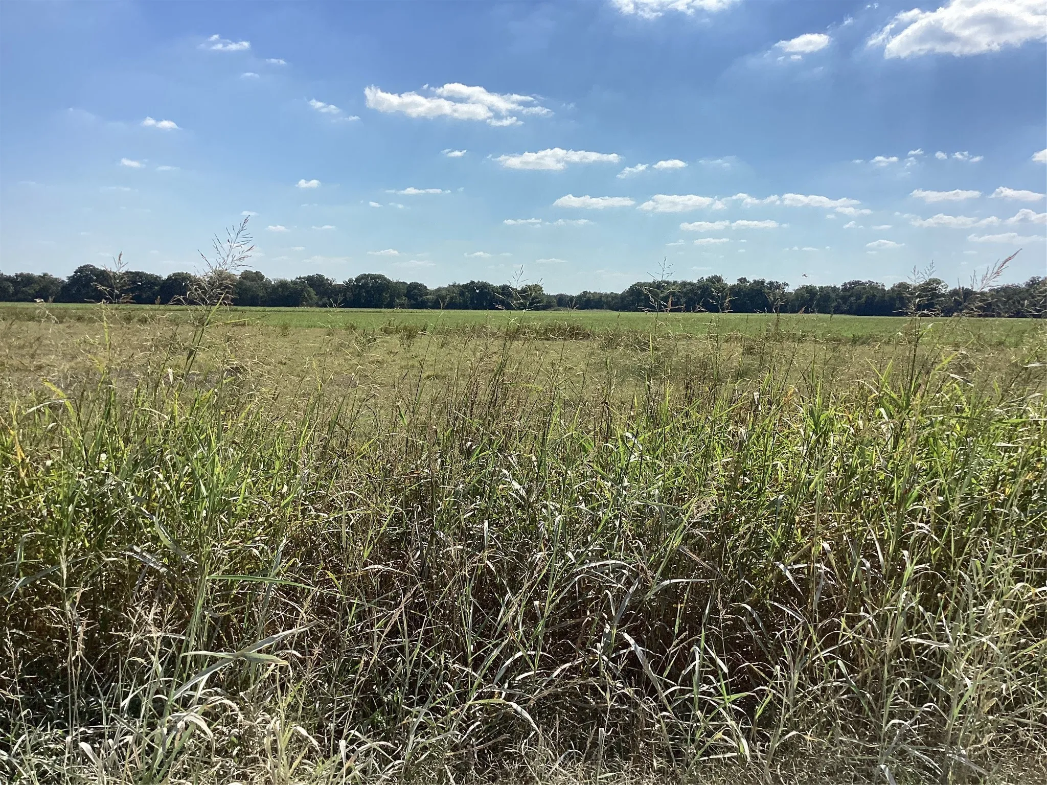 Ranch For Sale in Navarro County , Tbd SW CR 3160, Dawson, Texas 76639, 0, 0, Garage spaces, 0 Sqft, built in 0, mls#21087580, Real Estate Agent in Dawson, Homes For Sale in Navarro county, Homes For Sale in Dawson, Realtor in Dawson Texas, Real Estate Brokerage Independent Realty Texas, Luminita Cordes Realtor