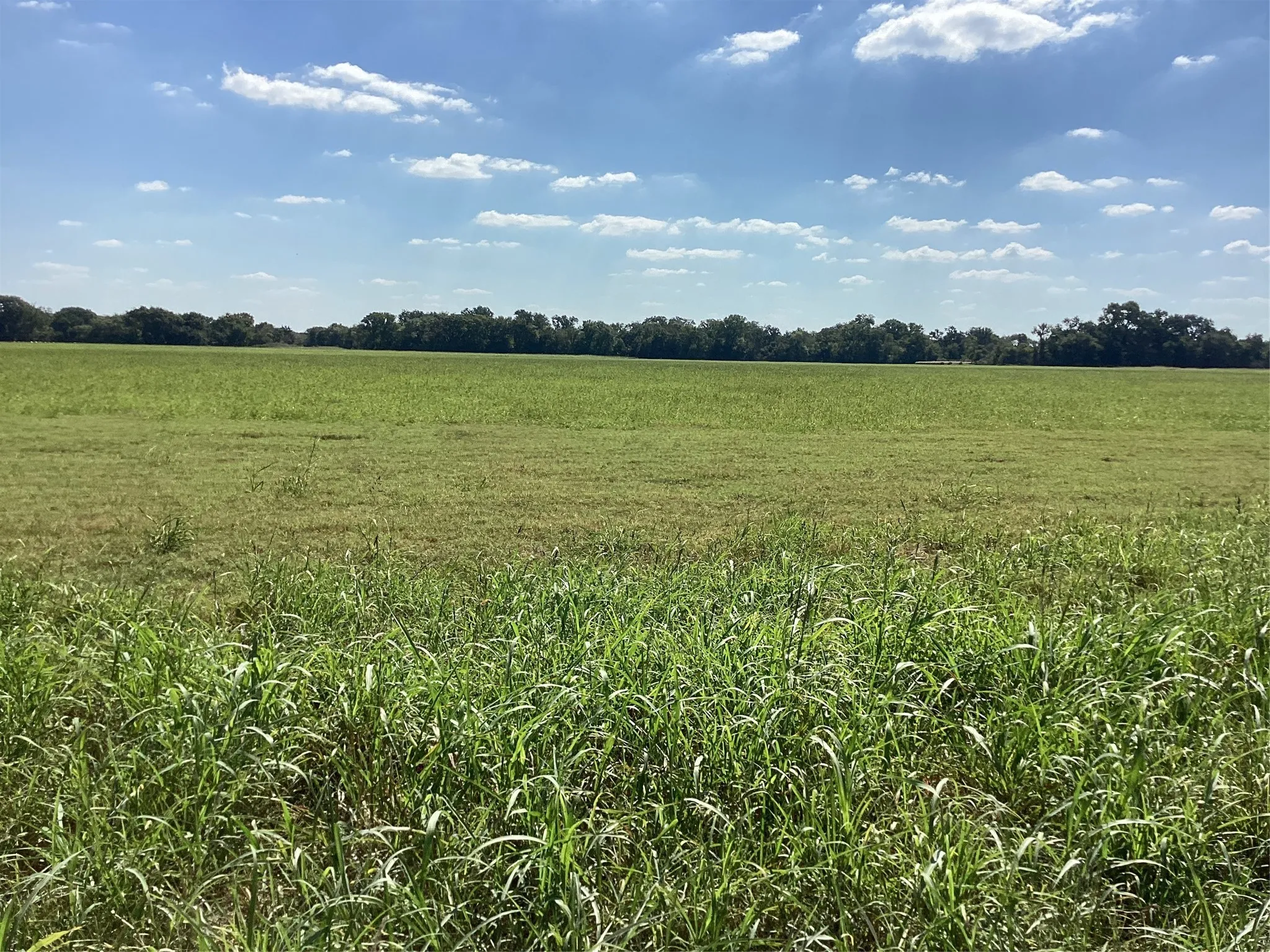 Ranch For Sale in Navarro County , Tbd SW CR 3160, Dawson, Texas 76639, 0, 0, Garage spaces, 0 Sqft, built in 0, mls#21087580, Real Estate Agent in Dawson, Homes For Sale in Navarro county, Homes For Sale in Dawson, Realtor in Dawson Texas, Real Estate Brokerage Independent Realty Texas, Luminita Cordes Realtor