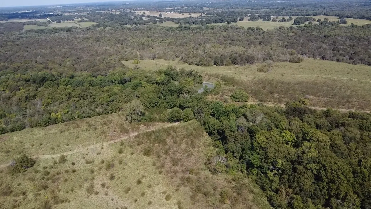 Ranch For Sale in Navarro County , Tbd SW CR 3160, Dawson, Texas 76639, 0, 0, Garage spaces, 0 Sqft, built in 0, mls#21087580, Real Estate Agent in Dawson, Homes For Sale in Navarro county, Homes For Sale in Dawson, Realtor in Dawson Texas, Real Estate Brokerage Independent Realty Texas, Luminita Cordes Realtor