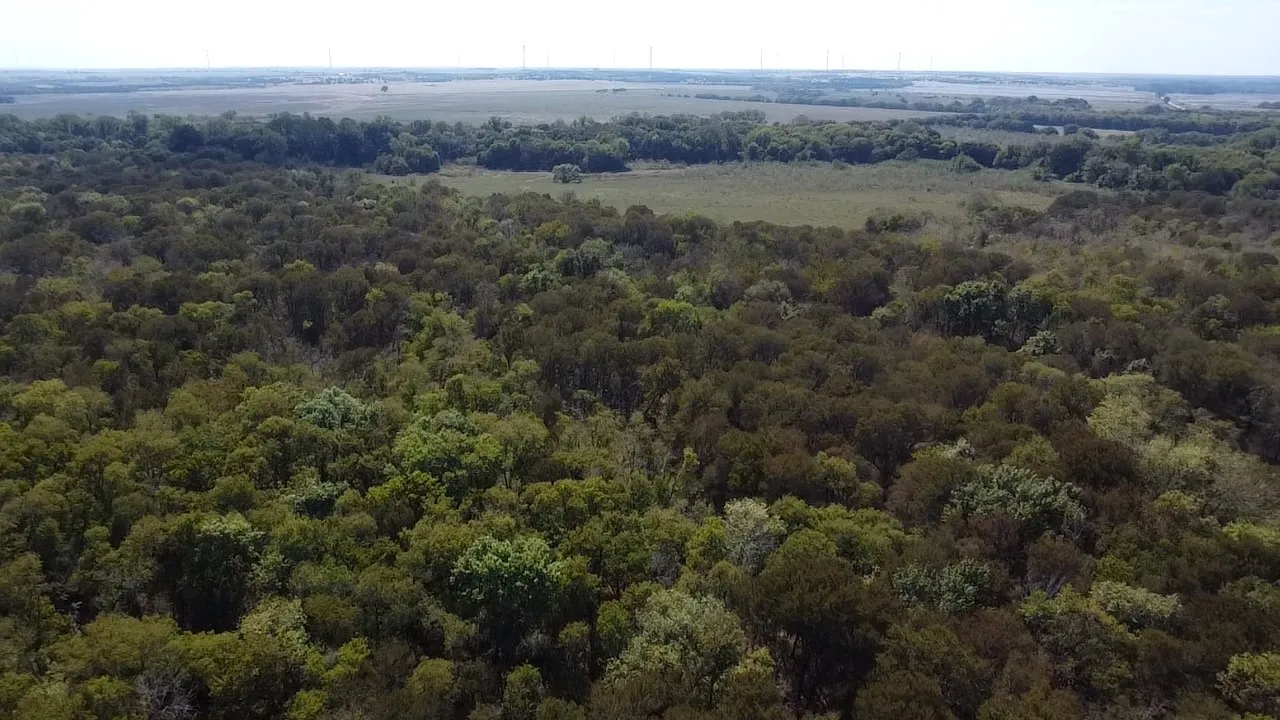 Ranch For Sale in Navarro County , Tbd SW CR 3160, Dawson, Texas 76639, 0, 0, Garage spaces, 0 Sqft, built in 0, mls#21087580, Real Estate Agent in Dawson, Homes For Sale in Navarro county, Homes For Sale in Dawson, Realtor in Dawson Texas, Real Estate Brokerage Independent Realty Texas, Luminita Cordes Realtor