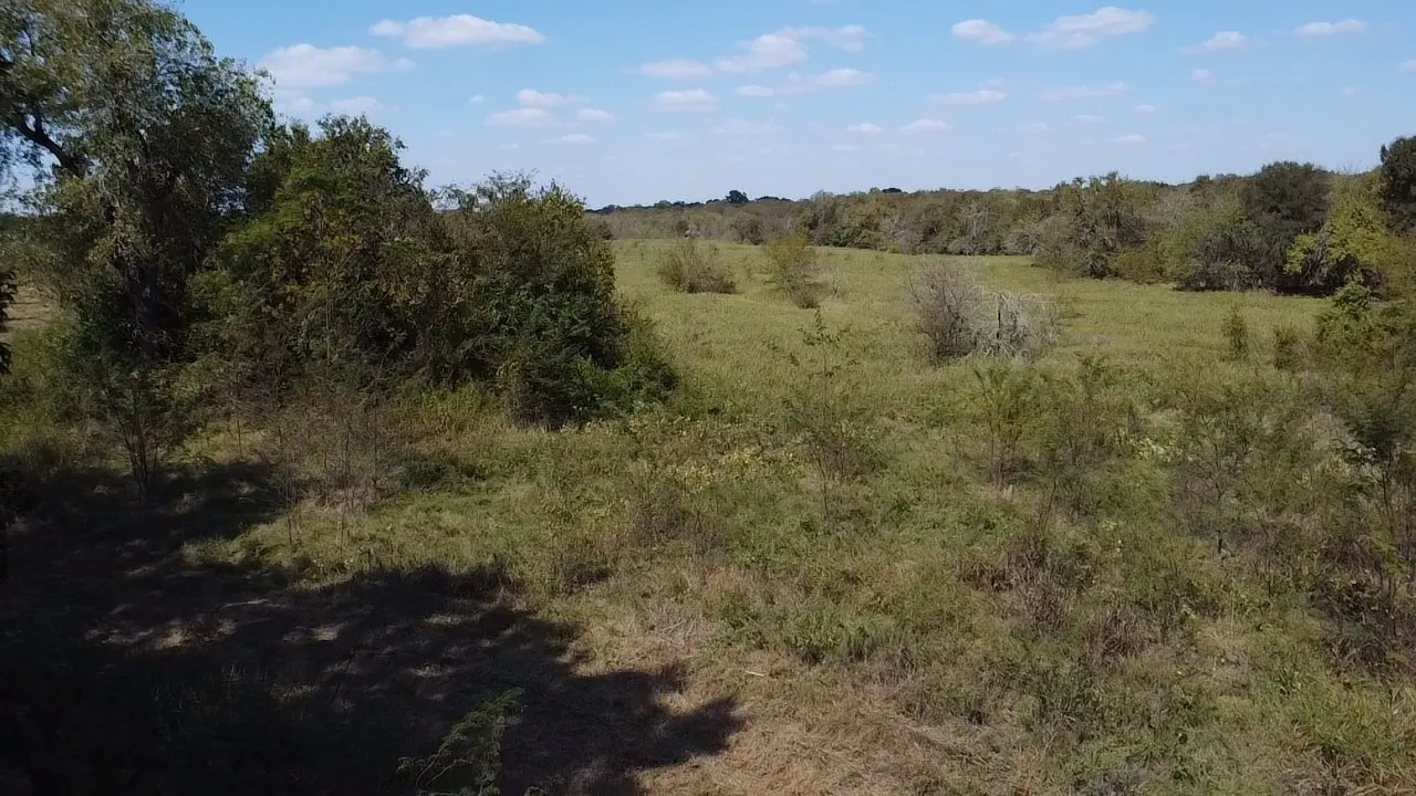 Ranch For Sale in Navarro County , Tbd SW CR 3160, Dawson, Texas 76639, 0, 0, Garage spaces, 0 Sqft, built in 0, mls#21087580, Real Estate Agent in Dawson, Homes For Sale in Navarro county, Homes For Sale in Dawson, Realtor in Dawson Texas, Real Estate Brokerage Independent Realty Texas, Luminita Cordes Realtor