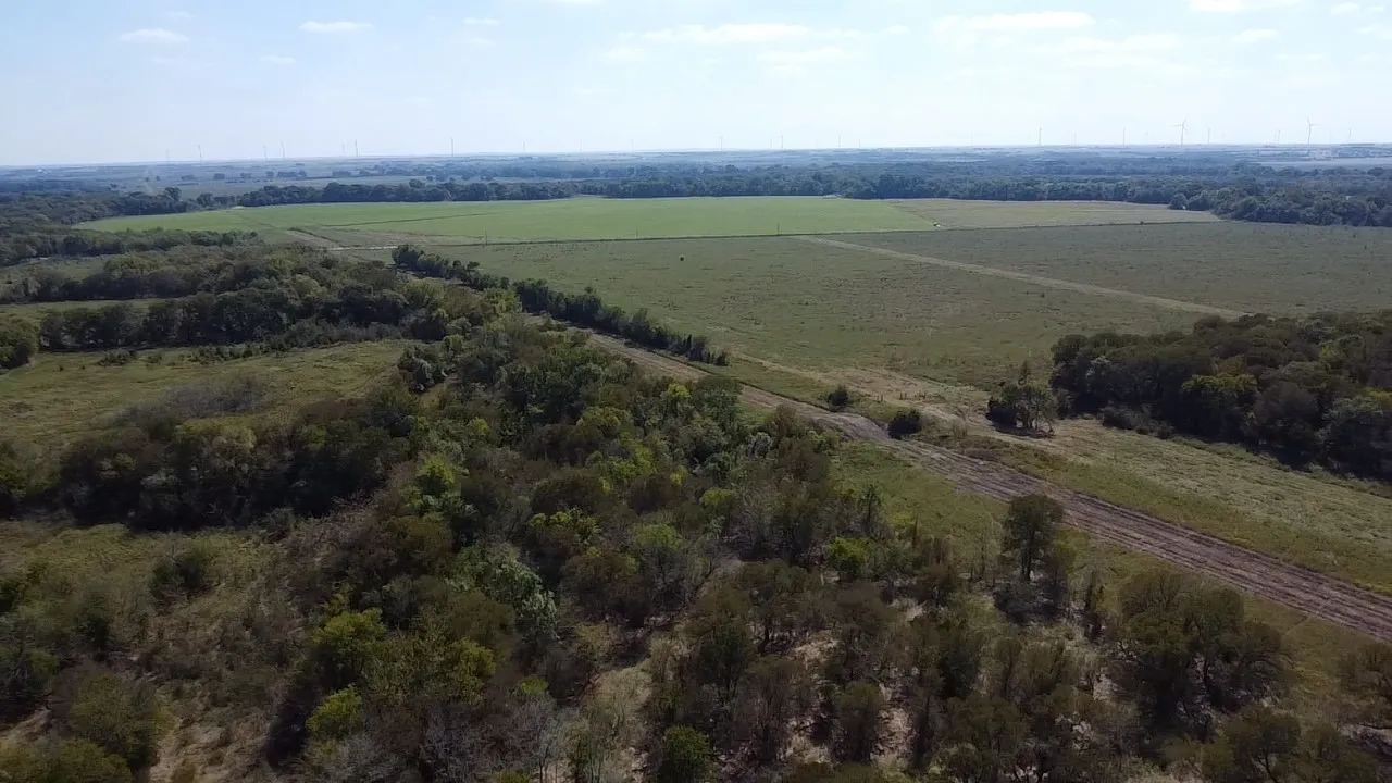 Ranch For Sale in Navarro County , Tbd SW CR 3160, Dawson, Texas 76639, 0, 0, Garage spaces, 0 Sqft, built in 0, mls#21087580, Real Estate Agent in Dawson, Homes For Sale in Navarro county, Homes For Sale in Dawson, Realtor in Dawson Texas, Real Estate Brokerage Independent Realty Texas, Luminita Cordes Realtor