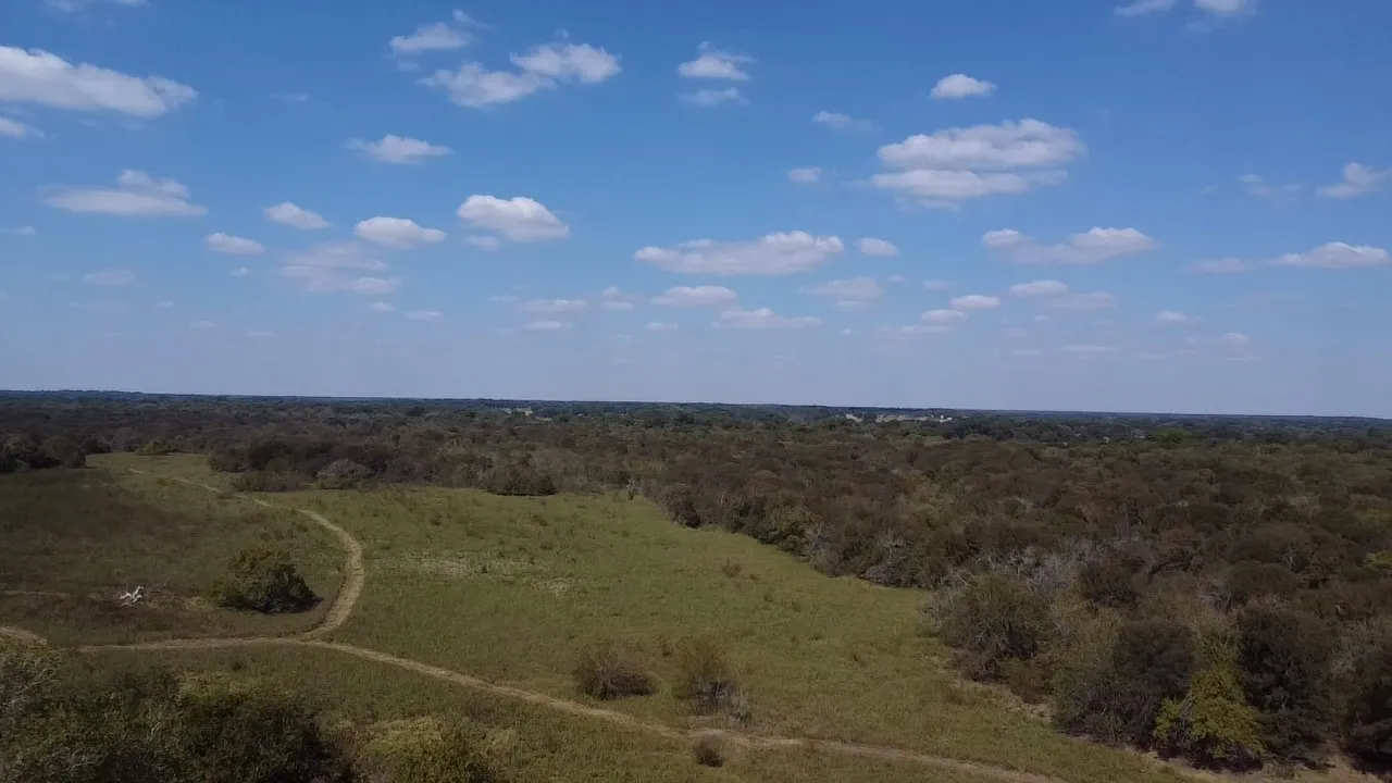 Ranch For Sale in Navarro County , Tbd SW CR 3160, Dawson, Texas 76639, 0, 0, Garage spaces, 0 Sqft, built in 0, mls#21087580, Real Estate Agent in Dawson, Homes For Sale in Navarro county, Homes For Sale in Dawson, Realtor in Dawson Texas, Real Estate Brokerage Independent Realty Texas, Luminita Cordes Realtor