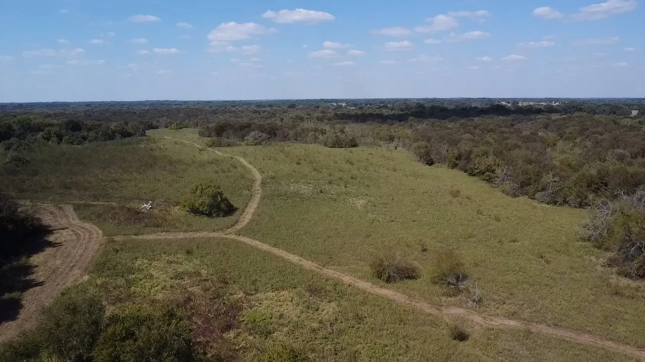 Ranch For Sale in Navarro County , Tbd SW CR 3160, Dawson, Texas 76639, 0, 0, Garage spaces, 0 Sqft, built in 0, mls#21087580, Real Estate Agent in Dawson, Homes For Sale in Navarro county, Homes For Sale in Dawson, Realtor in Dawson Texas, Real Estate Brokerage Independent Realty Texas, Luminita Cordes Realtor
