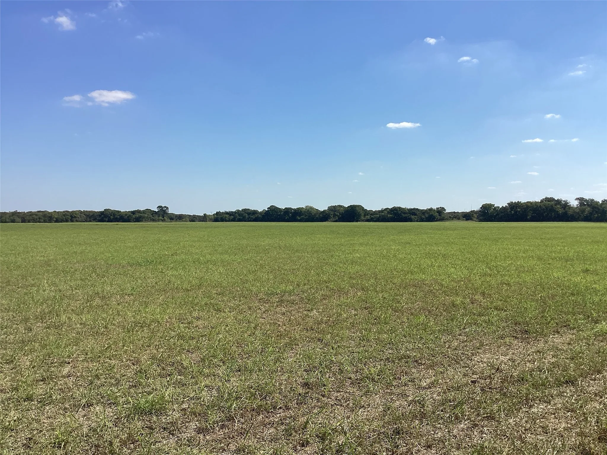 Ranch For Sale in Navarro County , Tbd SW CR 3160, Dawson, Texas 76639, 0, 0, Garage spaces, 0 Sqft, built in 0, mls#21087580, Real Estate Agent in Dawson, Homes For Sale in Navarro county, Homes For Sale in Dawson, Realtor in Dawson Texas, Real Estate Brokerage Independent Realty Texas, Luminita Cordes Realtor