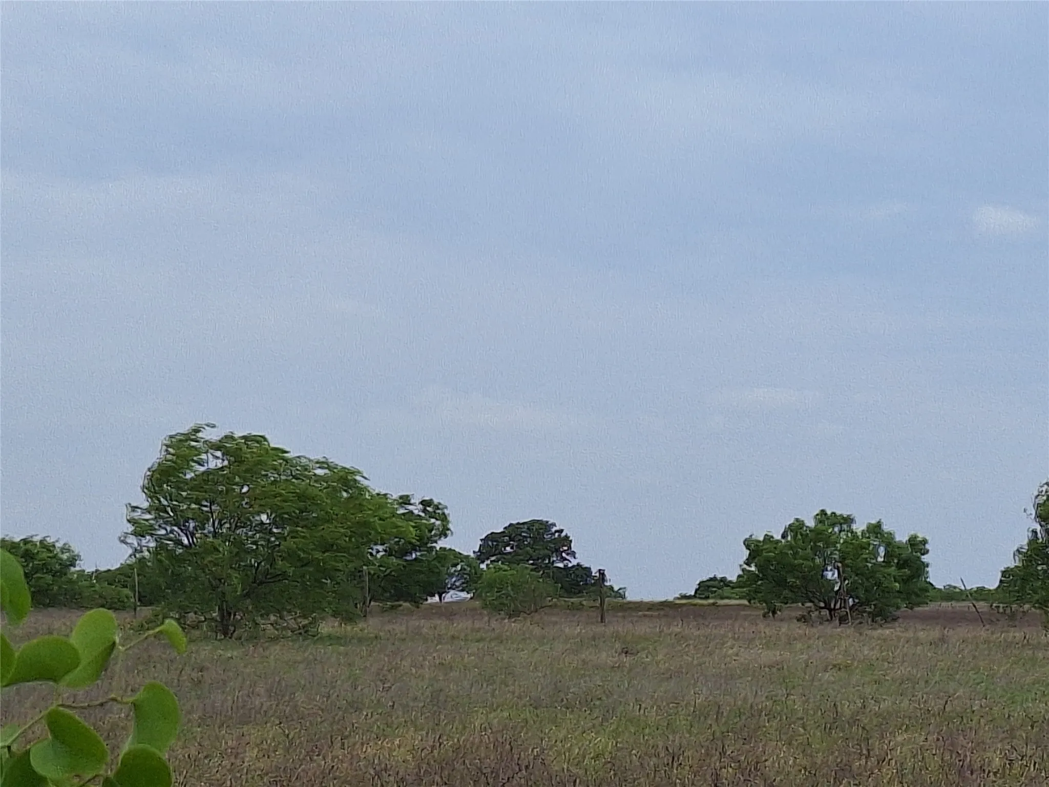 Unimproved Land For Sale in San Saba County , 2839 FM 45, Richland Springs, Texas 76871, 0, 0, Garage spaces, 0 Sqft, built in 0, Price $119,000, mls#21089760, Real Estate Agent in Richland Springs, Homes For Sale in San Saba county, Homes For Sale in Richland Springs, Realtor in Richland Springs Texas, Real Estate Brokerage Independent Realty Texas, Luminita Cordes Realtor