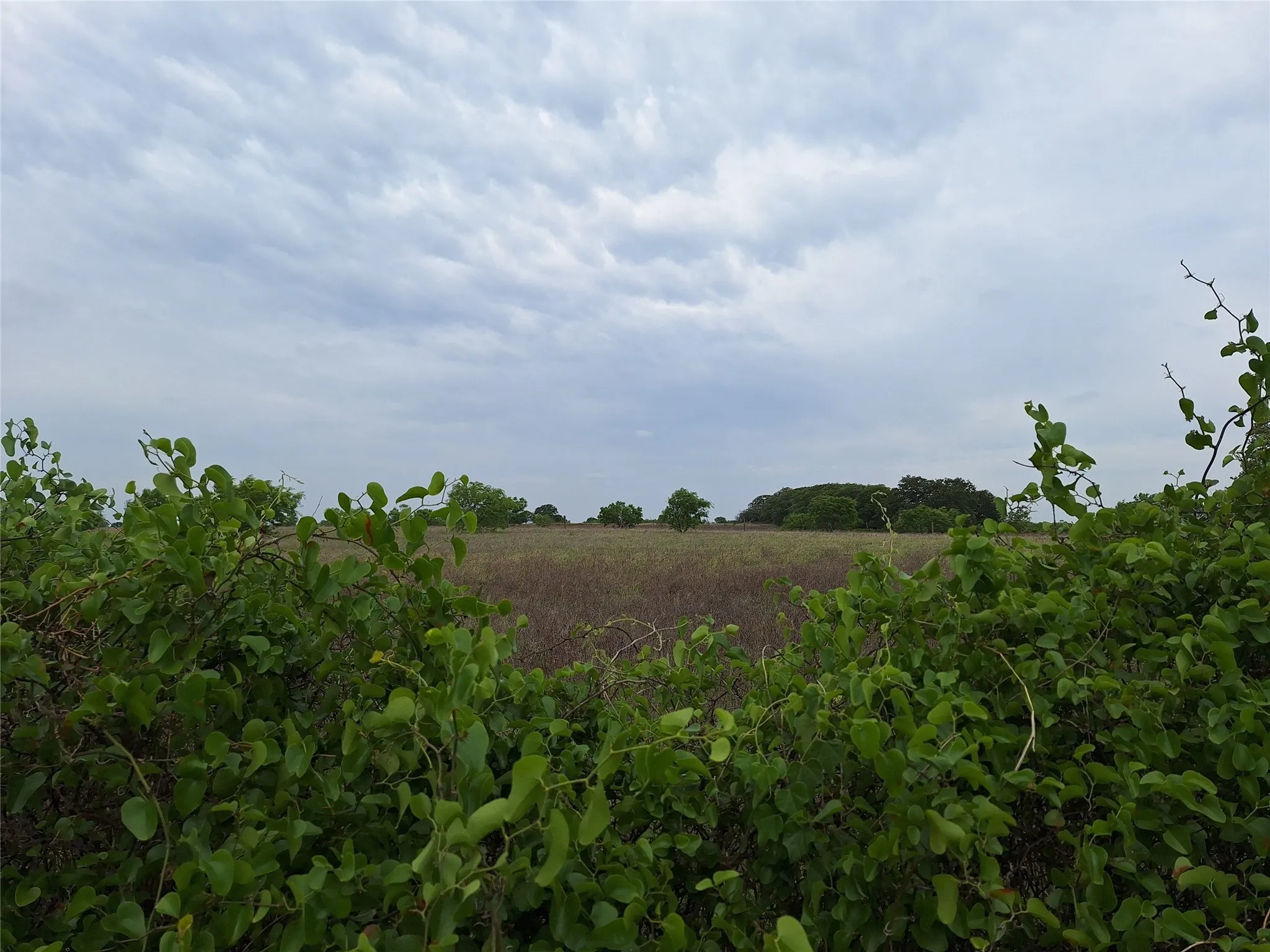 Unimproved Land For Sale in San Saba County , 2839 FM 45, Richland Springs, Texas 76871, 0, 0, Garage spaces, 0 Sqft, built in 0, Price $119,000, mls#21089760, Real Estate Agent in Richland Springs, Homes For Sale in San Saba county, Homes For Sale in Richland Springs, Realtor in Richland Springs Texas, Real Estate Brokerage Independent Realty Texas, Luminita Cordes Realtor