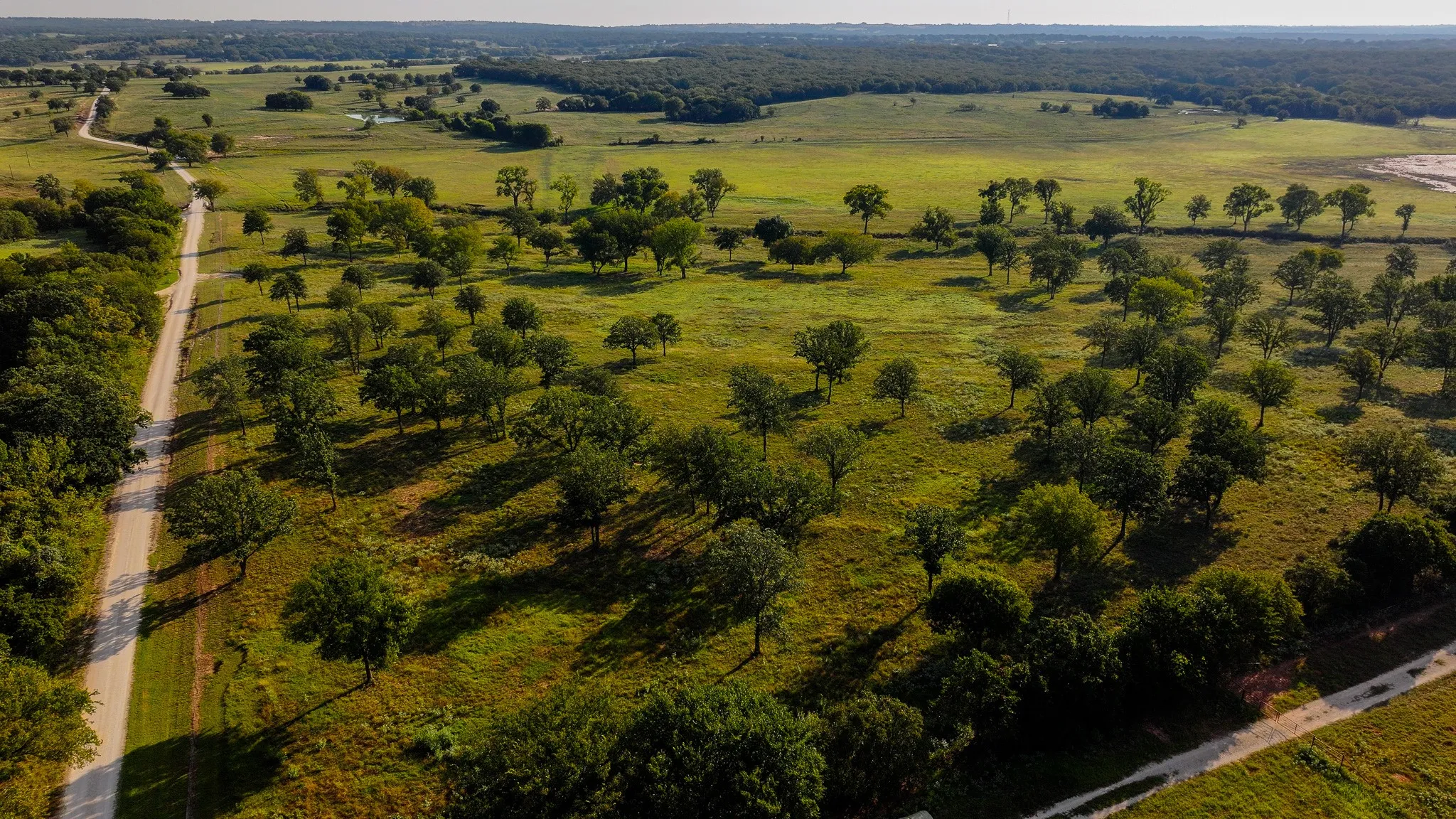 Improved Land For Sale in Montague County , 675 Hundley Road, Montague, Texas 76251, 0, 0, Garage spaces, 0 Sqft, built in 0, mls#21082643, Real Estate Agent in Montague, Homes For Sale in Montague county, Homes For Sale in Montague, Realtor in Montague Texas, Real Estate Brokerage Independent Realty Texas, Luminita Cordes Realtor