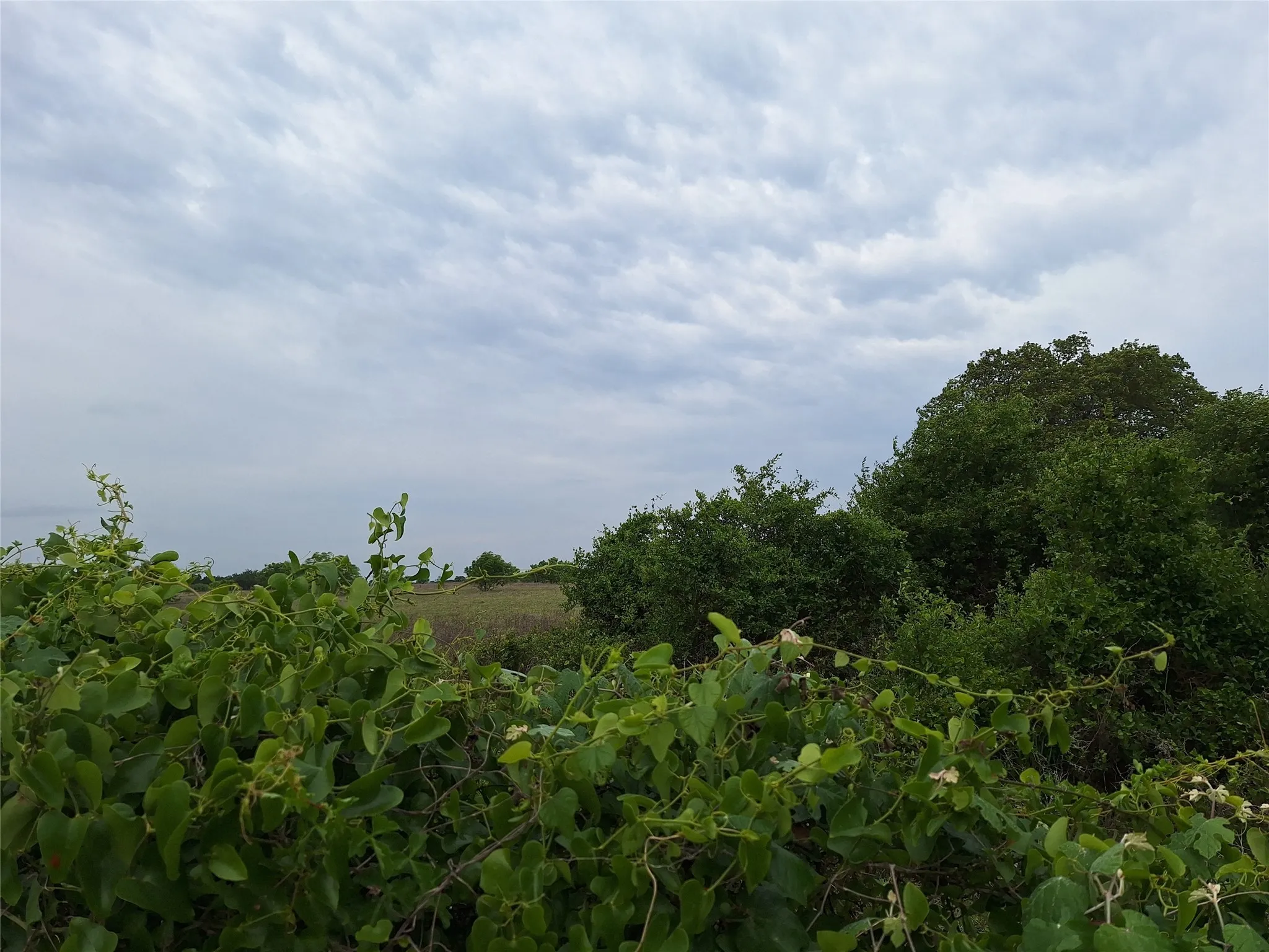 Unimproved Land For Sale in San Saba County , 2735 FM 45, Richland Springs, Texas 76871, 0, 0, Garage spaces, 0 Sqft, built in 0, Price $349,000, mls#21089847, Real Estate Agent in Richland Springs, Homes For Sale in San Saba county, Homes For Sale in Richland Springs, Realtor in Richland Springs Texas, Real Estate Brokerage Independent Realty Texas, Luminita Cordes Realtor