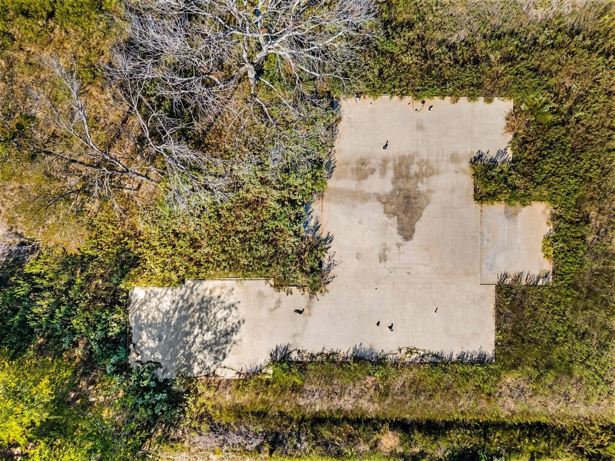 Unimproved Land For Sale in Kaufman County , 9397 W Shoreline Drive, Kemp, Texas 75143, 0, 0, Garage spaces, 0 Sqft, built in 0, Price $490,000, mls#21090048, Real Estate Agent in Kemp, Homes For Sale in Kaufman county, Homes For Sale in Kemp, Realtor in Kemp Texas, Real Estate Brokerage Independent Realty Texas, Luminita Cordes Realtor