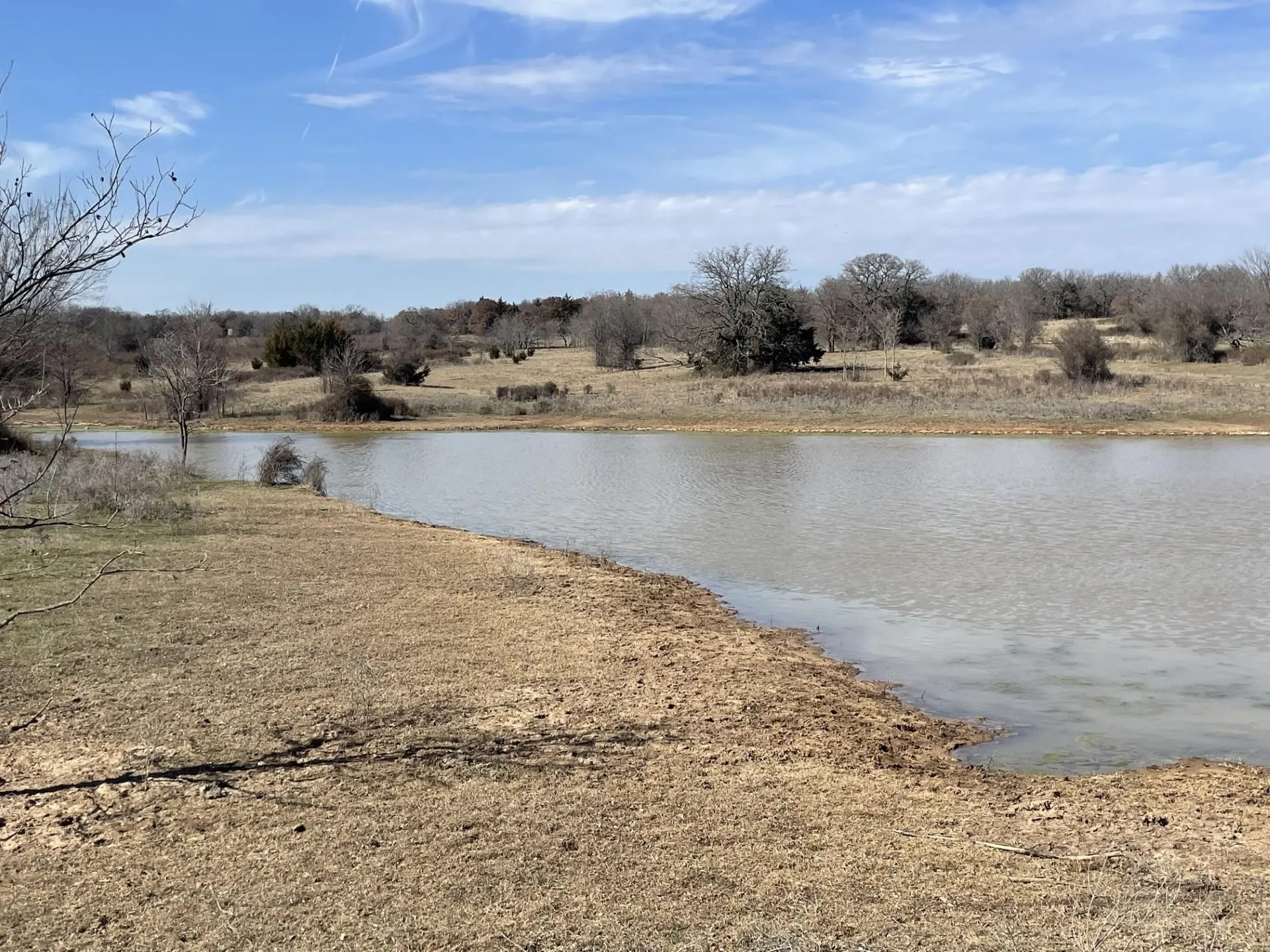 Ranch For Sale in Montague County , 001 Denver Road, Sunset, Texas 76270, 0, 0, Garage spaces, 0 Sqft, built in 0, mls#21090113, Real Estate Agent in Sunset, Homes For Sale in Montague county, Homes For Sale in Sunset, Realtor in Sunset Texas, Real Estate Brokerage Independent Realty Texas, Luminita Cordes Realtor