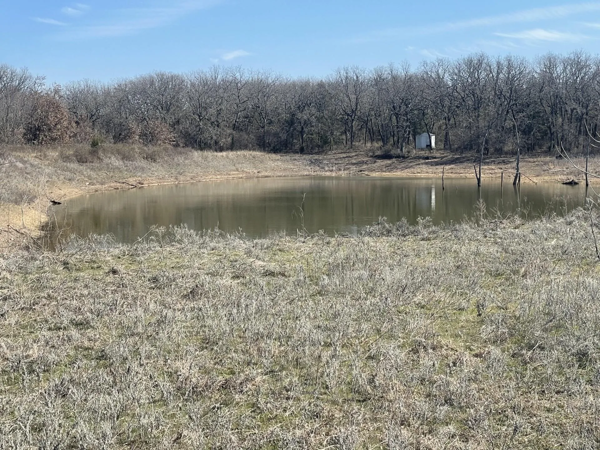 Ranch For Sale in Montague County , 001 Denver Road, Sunset, Texas 76270, 0, 0, Garage spaces, 0 Sqft, built in 0, mls#21090113, Real Estate Agent in Sunset, Homes For Sale in Montague county, Homes For Sale in Sunset, Realtor in Sunset Texas, Real Estate Brokerage Independent Realty Texas, Luminita Cordes Realtor