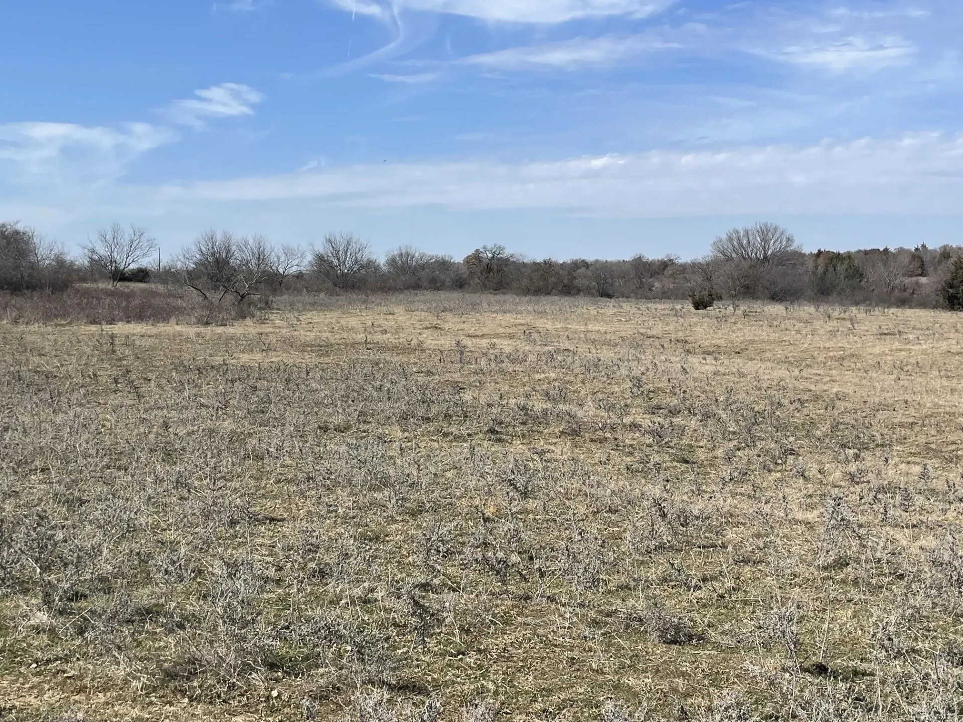 Ranch For Sale in Montague County , 001 Denver Road, Sunset, Texas 76270, 0, 0, Garage spaces, 0 Sqft, built in 0, mls#21090113, Real Estate Agent in Sunset, Homes For Sale in Montague county, Homes For Sale in Sunset, Realtor in Sunset Texas, Real Estate Brokerage Independent Realty Texas, Luminita Cordes Realtor