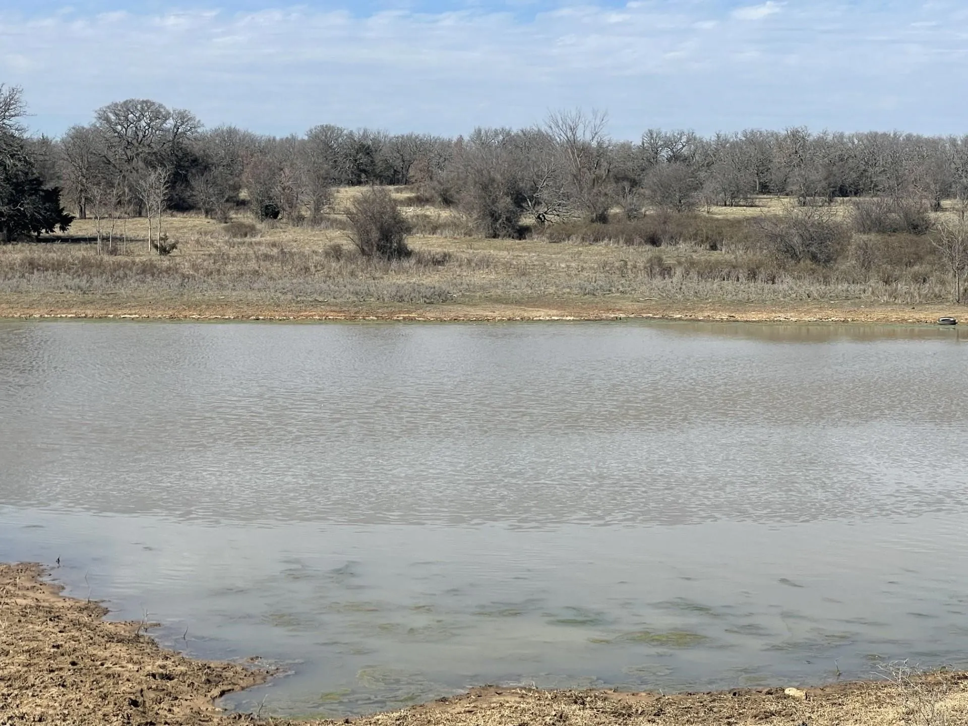 Ranch For Sale in Montague County , 001 Denver Road, Sunset, Texas 76270, 0, 0, Garage spaces, 0 Sqft, built in 0, mls#21090113, Real Estate Agent in Sunset, Homes For Sale in Montague county, Homes For Sale in Sunset, Realtor in Sunset Texas, Real Estate Brokerage Independent Realty Texas, Luminita Cordes Realtor